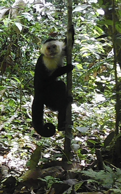 168 acres (68 hectares) of natural peace and tranquility with four cabins photo 29