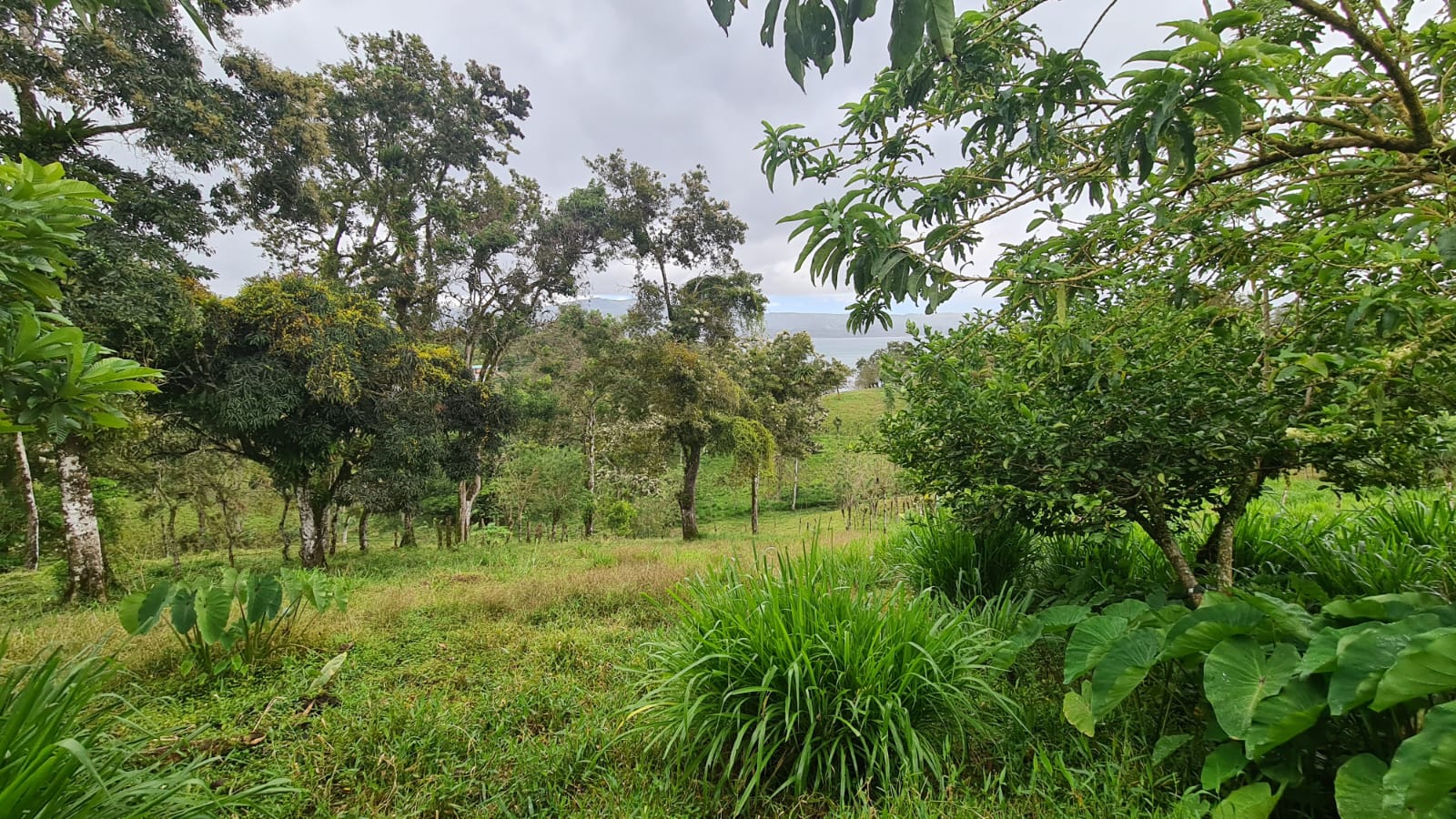 Beautiful, LAKE ACCESS property in Parcelas Santa Maria, Nuevo Arenal  photo 37