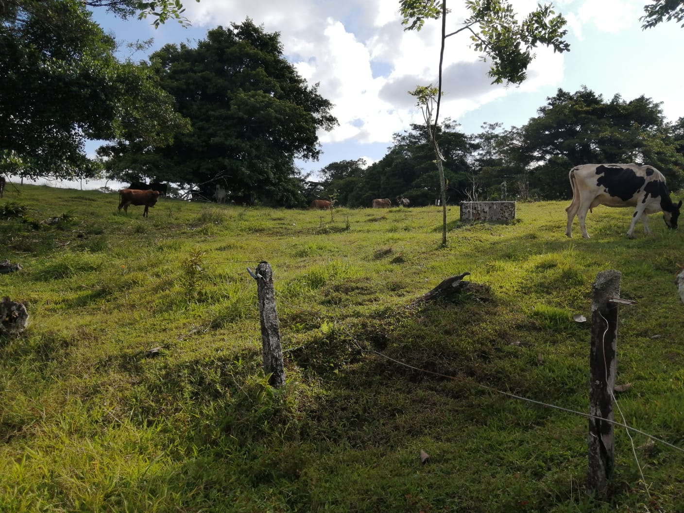 16-Hectare Farm with a Private Well and Views of Lake Arenal in Nuevo Arenal photo 50