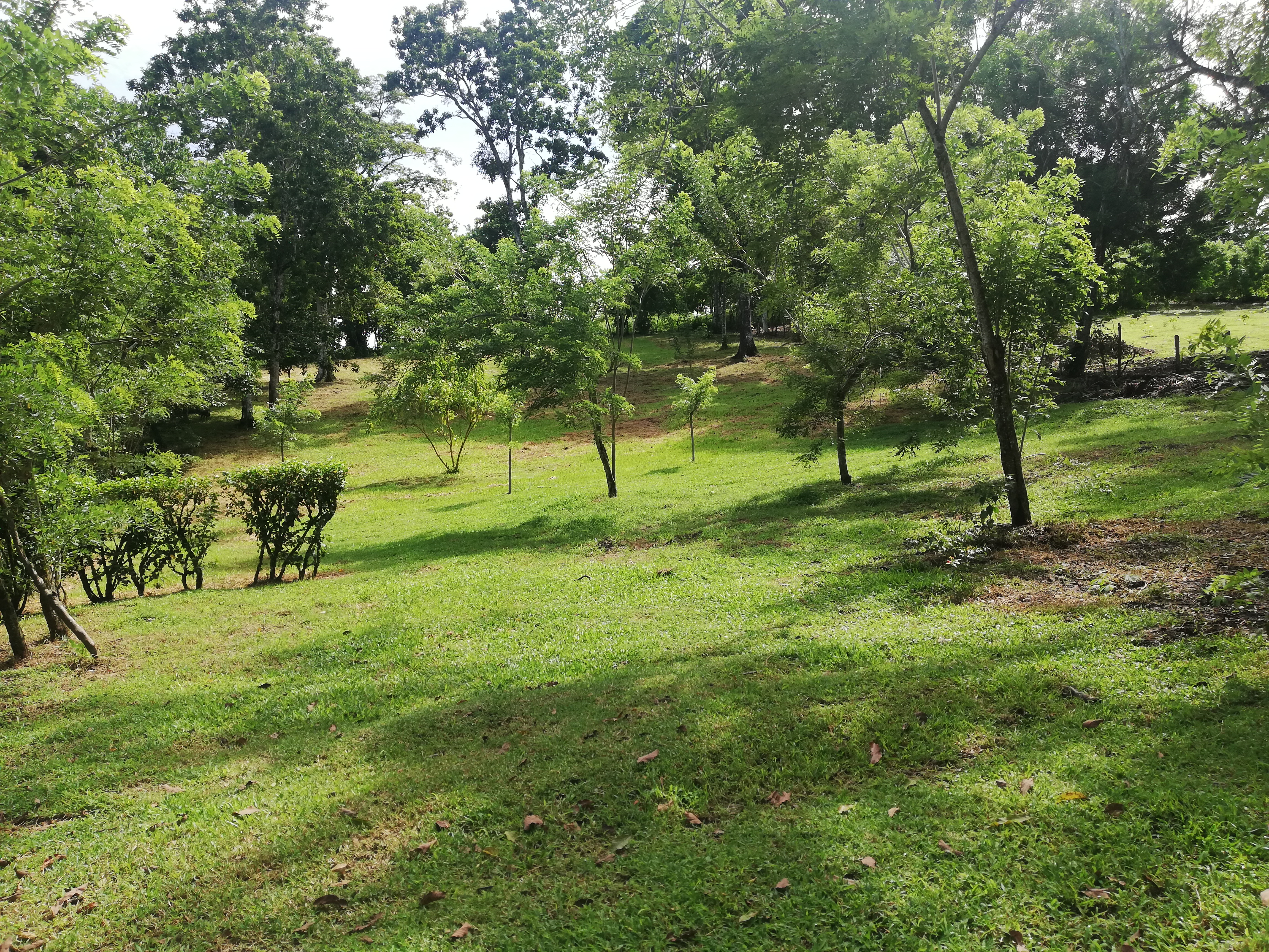 Gorgeous Property with Enormous Income Potential Near Lake Arenal! photo 43