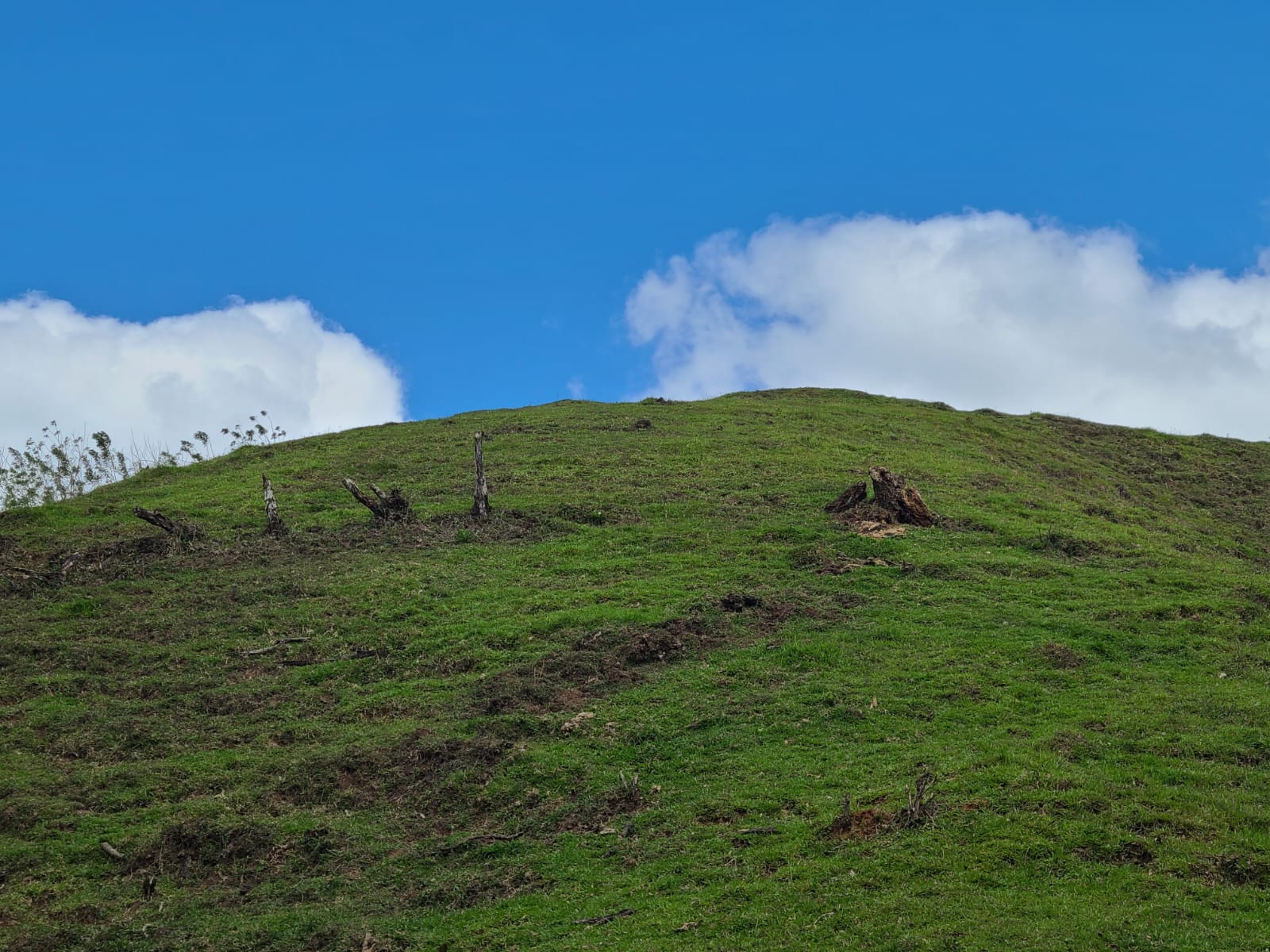 35,000 Sqm Property with Spectacular Lake Arenal View and Ravine photo 9