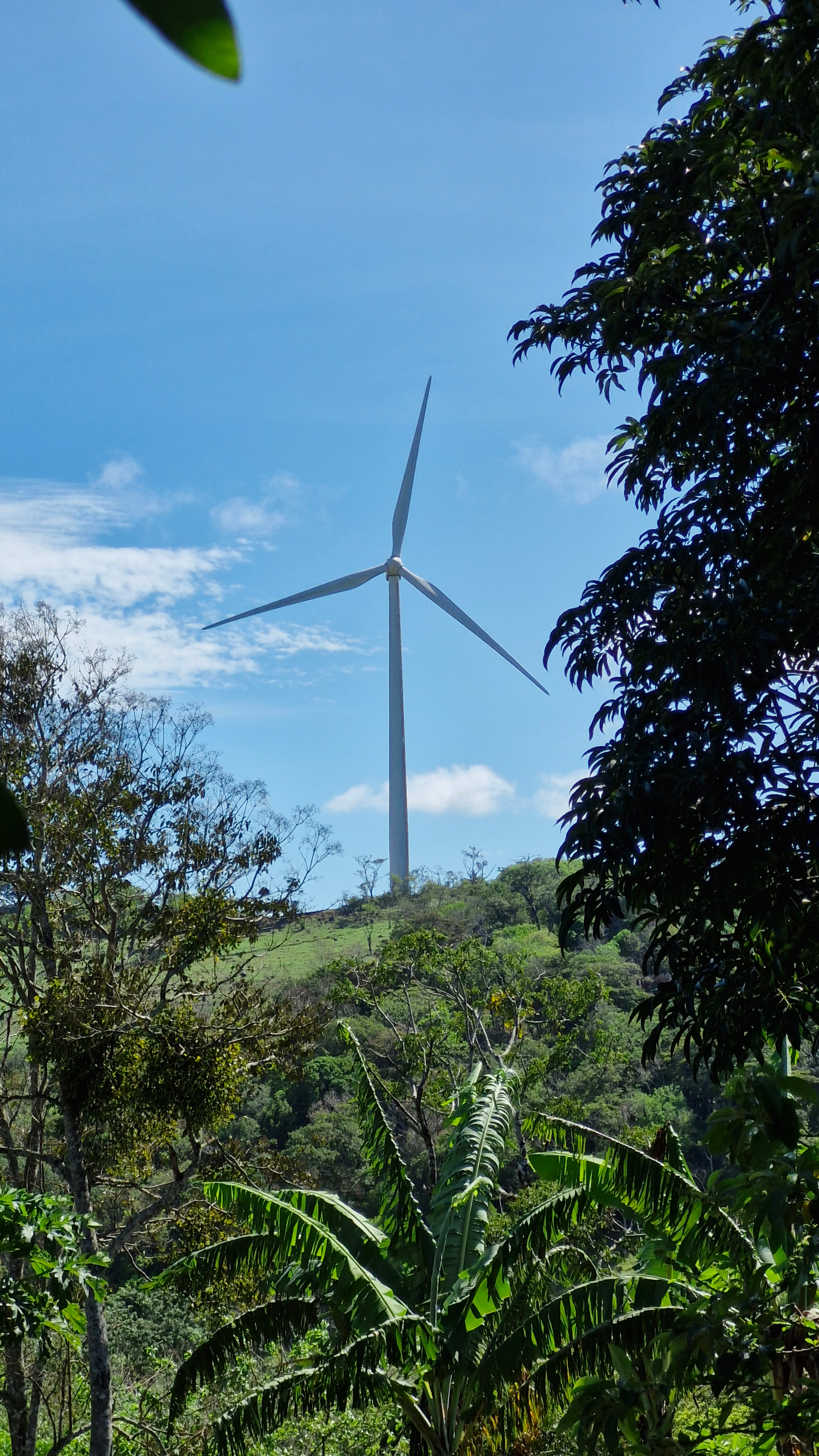 Lovely Home 4BD/2BA With Wind farms views in Parcelas de Quebrada Azul  photo 28