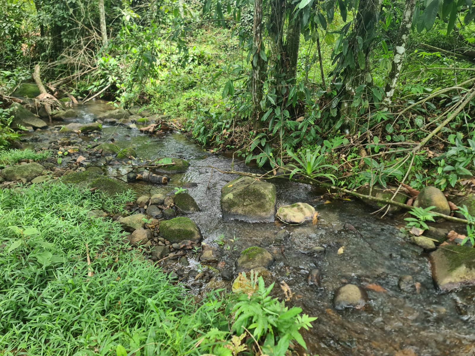 10,500 M2 (2.59 Acres) Lot with a Creek in Río Celeste photo 10