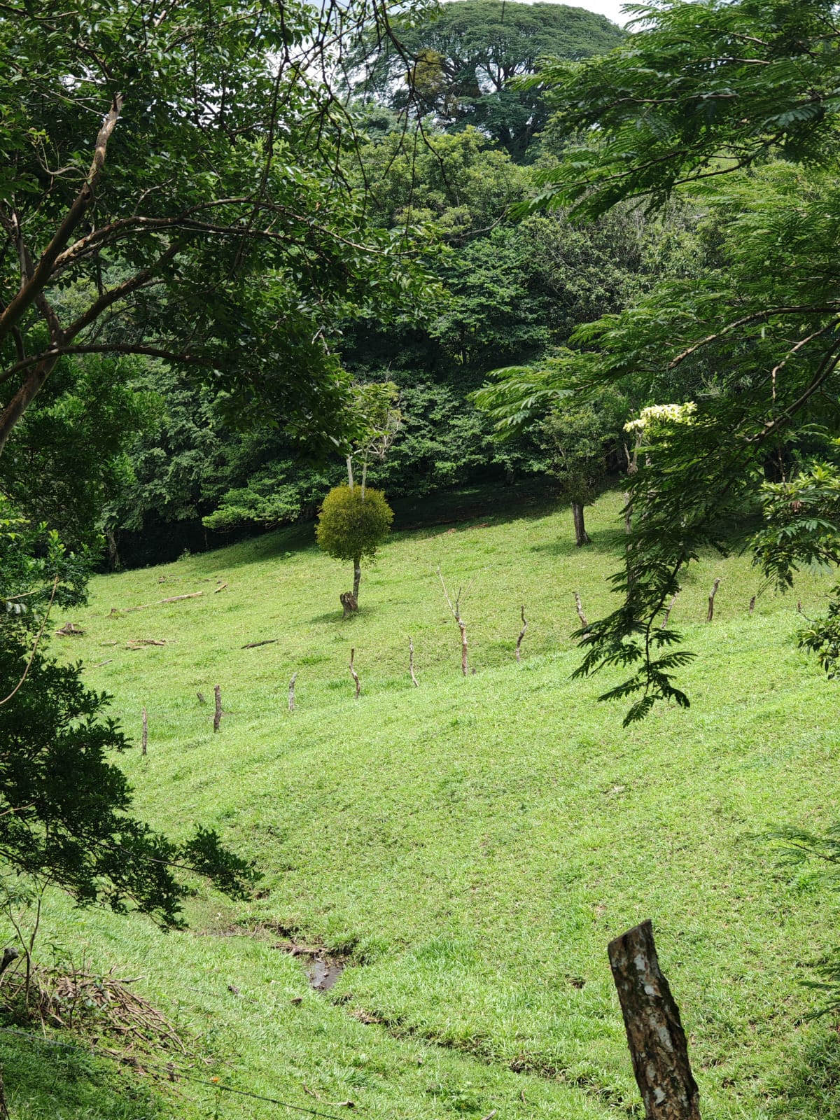 Beautiful 3-bedroom, 2-bathroom Home on a Sprawling 26,313 m² (6.5 Acres) lot  photo 30