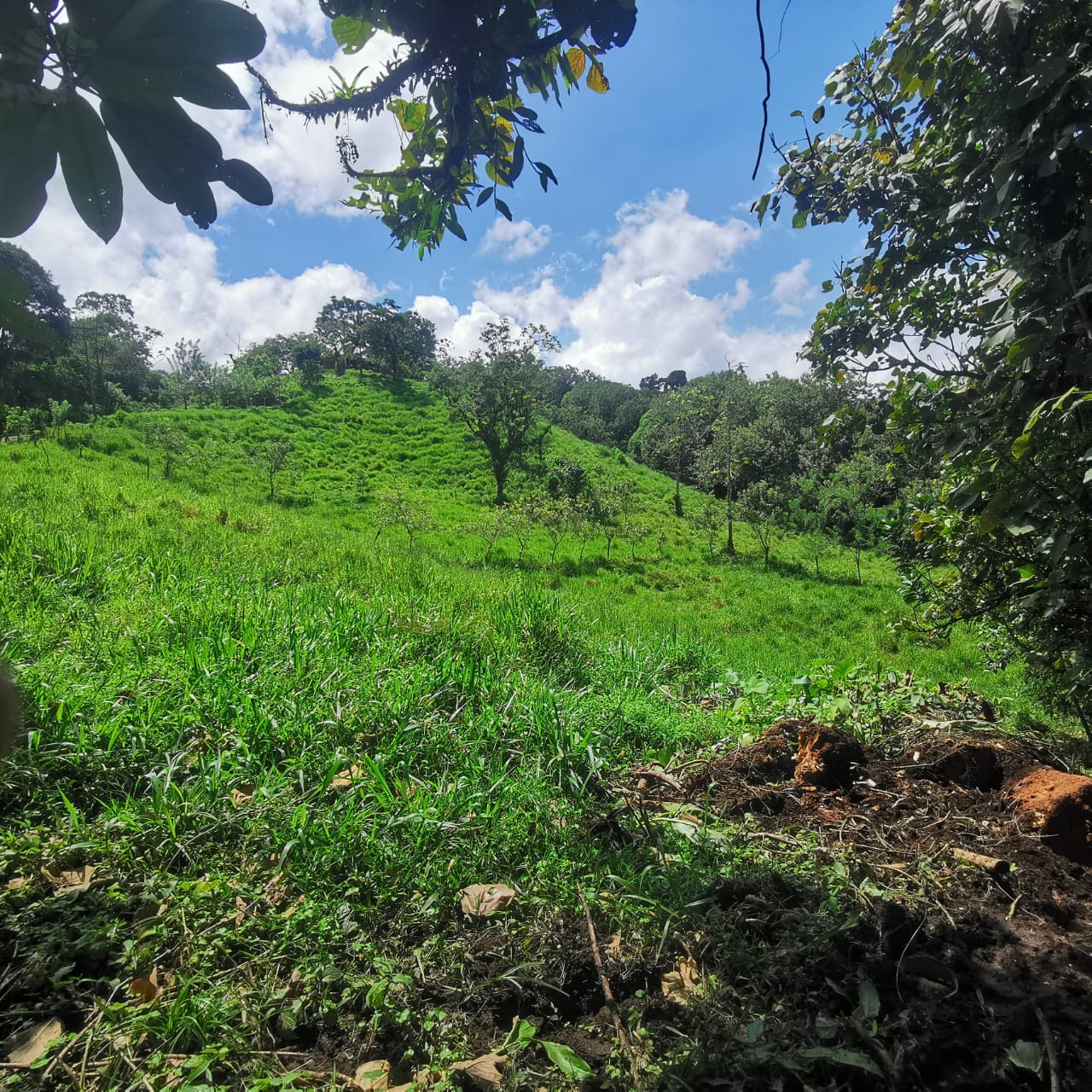 Exceptional Lake and Volcano View Property in El Castillo, San Carlos  photo 8