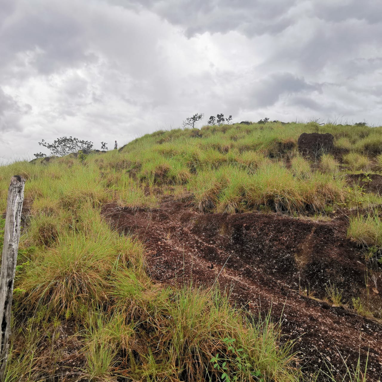 Private 26,000 m² Lot w/ Panoramic Views & Natural Water Source in Bagaces photo 7