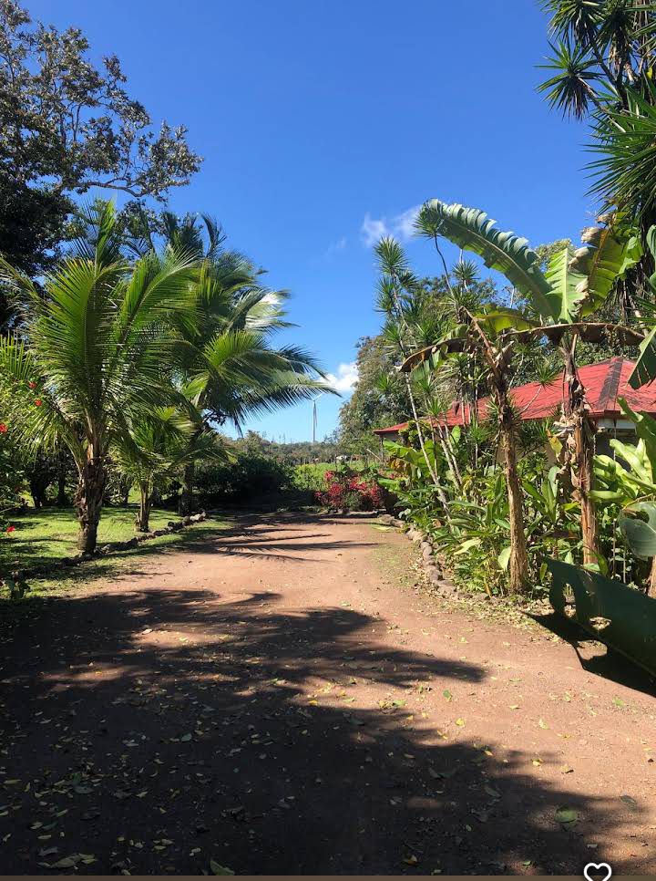 Commercial property: main house + 5 cabins + greenhouse + stable in Cinco Esquinas  photo 70