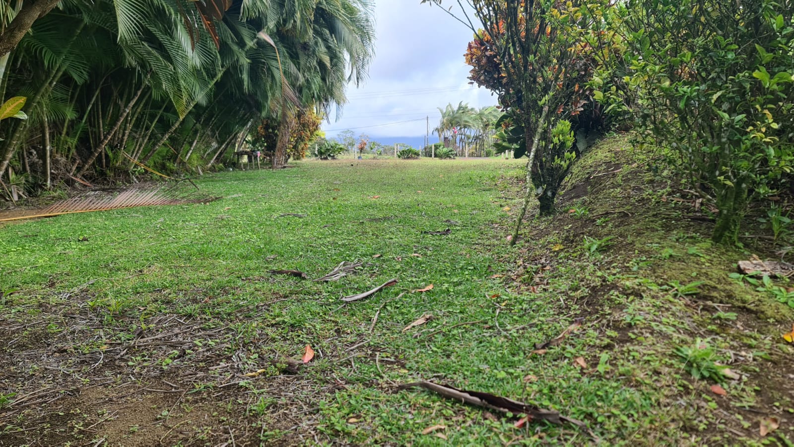 Lovely, 2625 M2 (0.64 acres) Lot in Mata de Caña, Nuevo Arenal photo 8