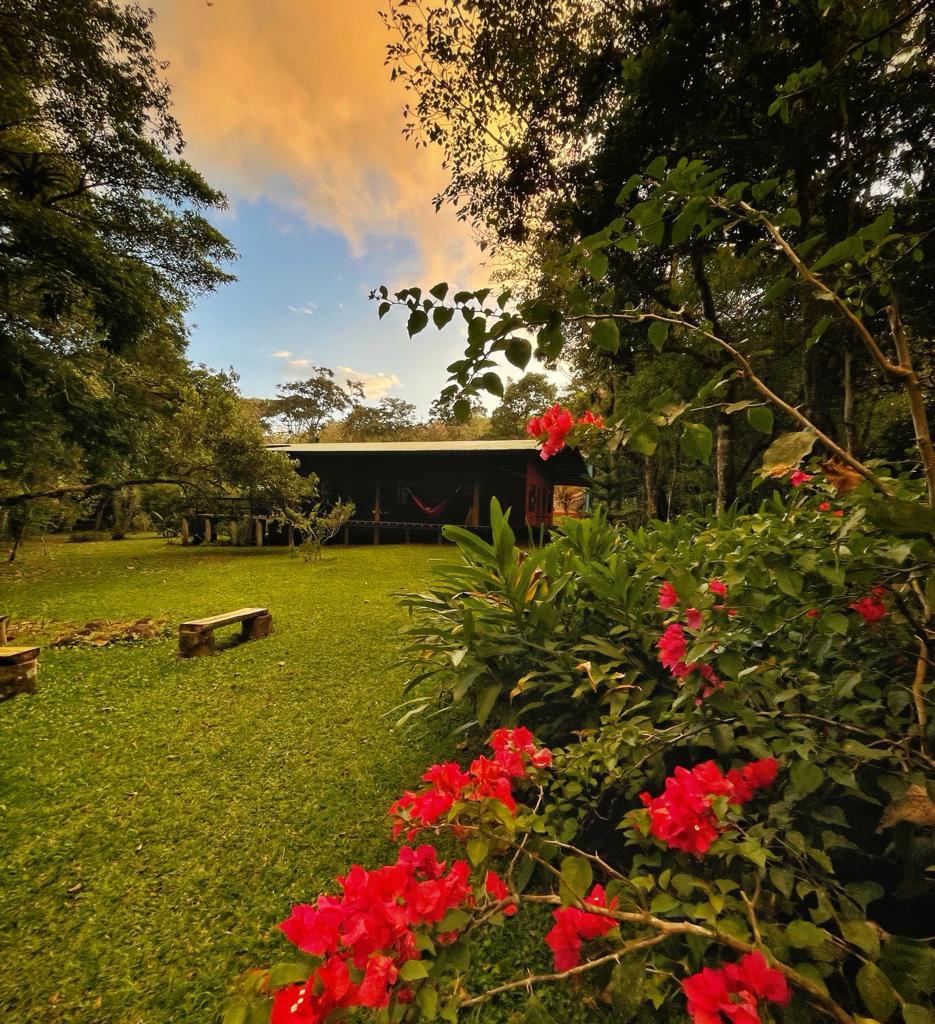 Commercial Space, Cabins, & Retreats: A Nature Haven w/ Riverfront Serenity photo 26