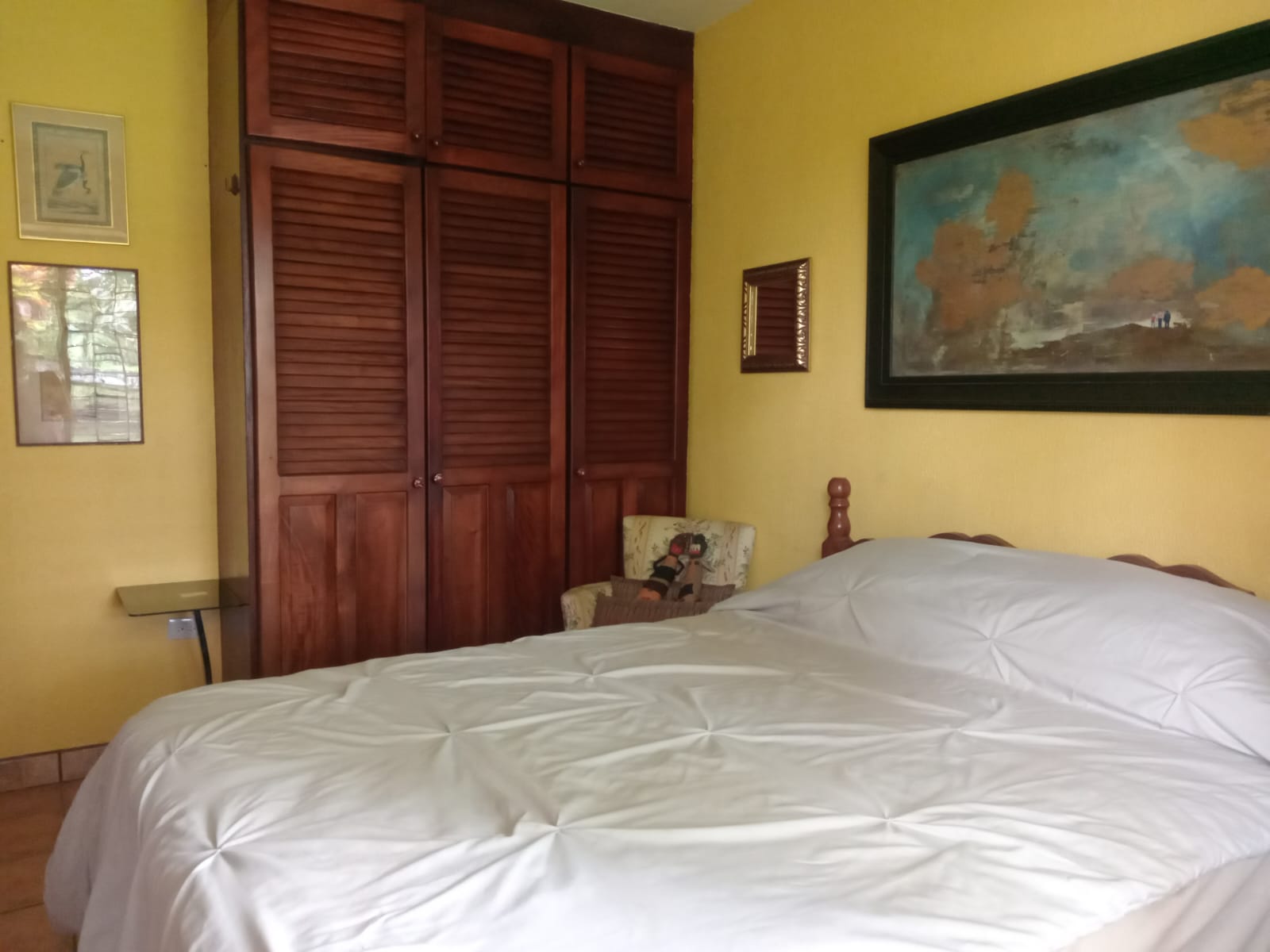 Commercial property: main house + 5 cabins + greenhouse + stable in Cinco Esquinas  photo 23