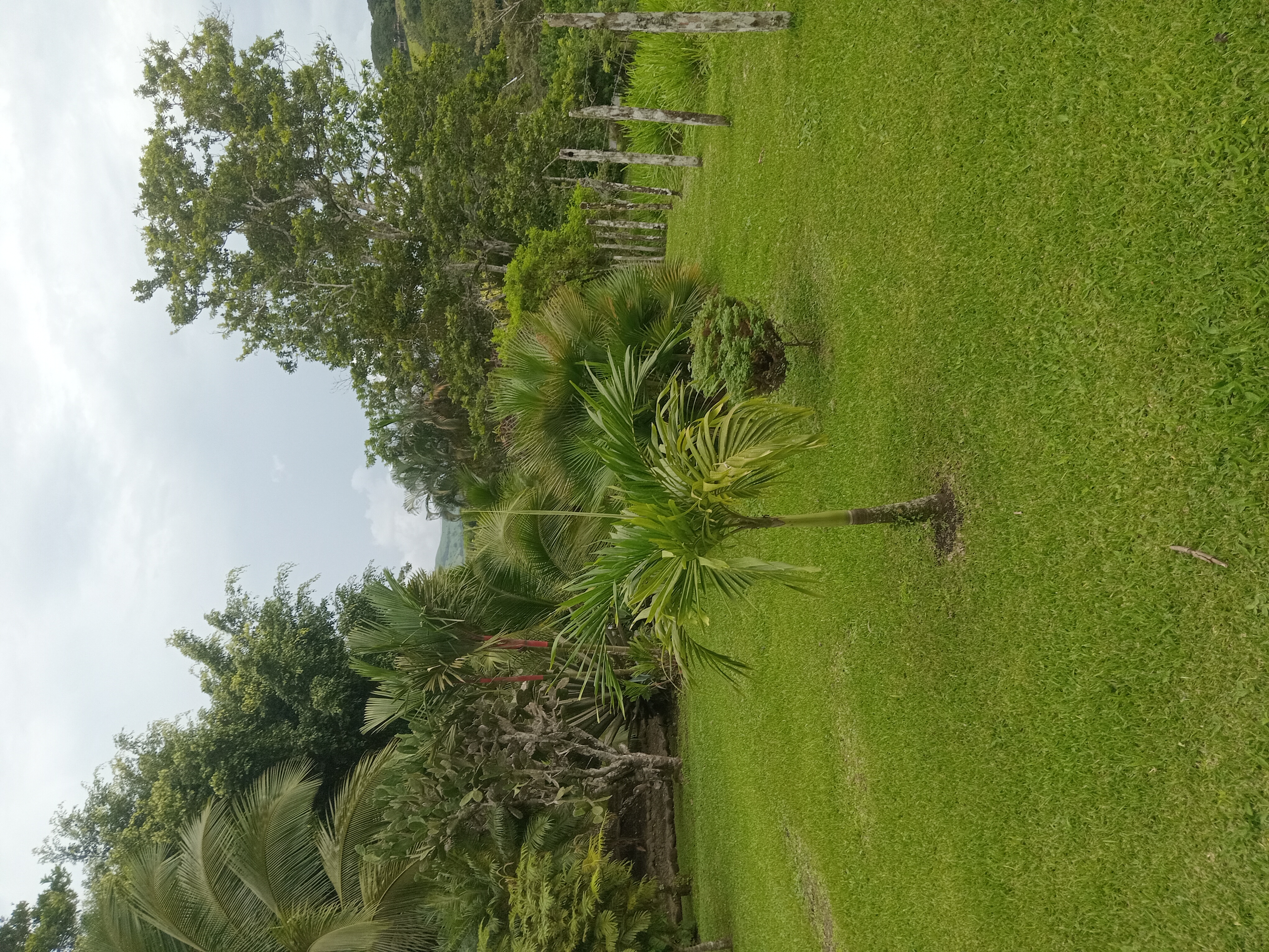 Commercial property: main house + 5 cabins + greenhouse + stable in Cinco Esquinas  photo 74