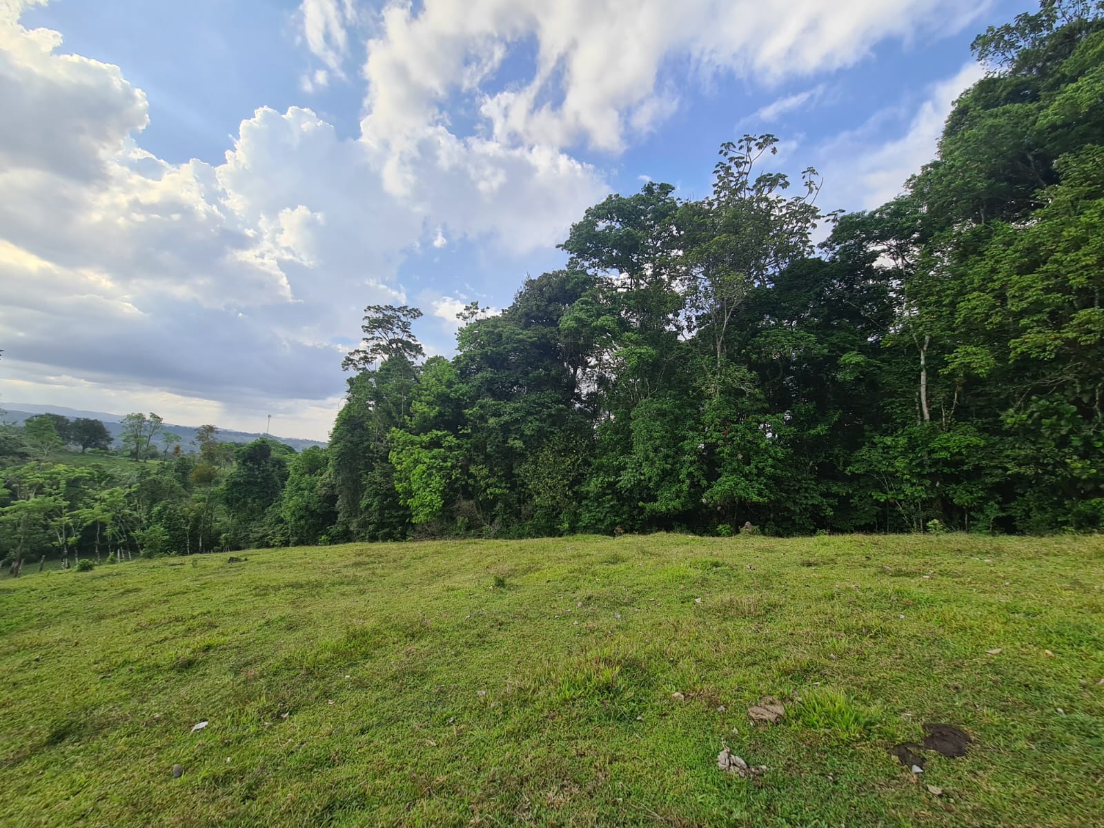 Gorgeous 50,372 m2 (12,4 acre) Farm In Cabanga, Guatuso photo 8