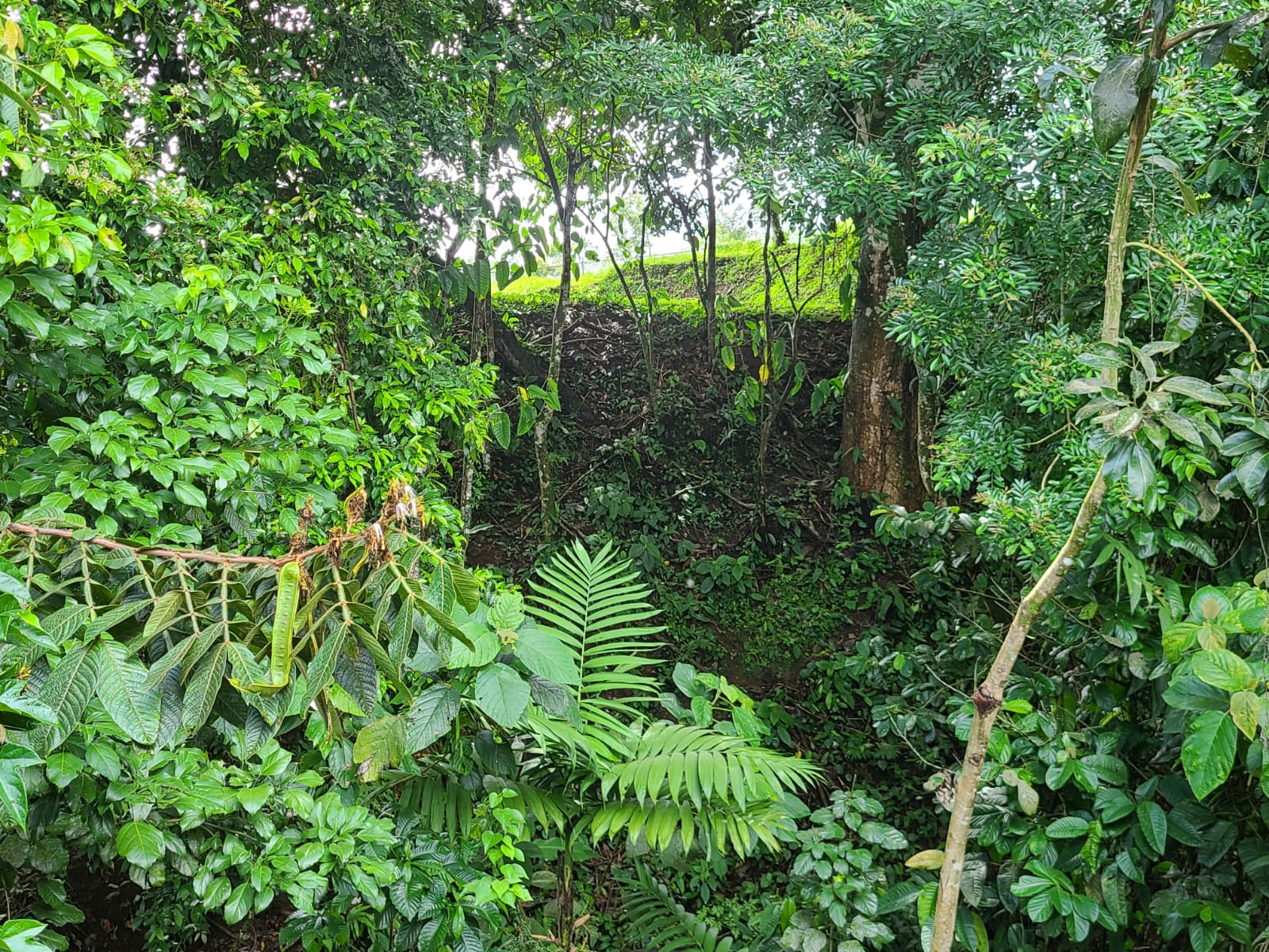 Lovely 2 Bedrooms 1 Bathroom Home In Arenal Downtown photo 14