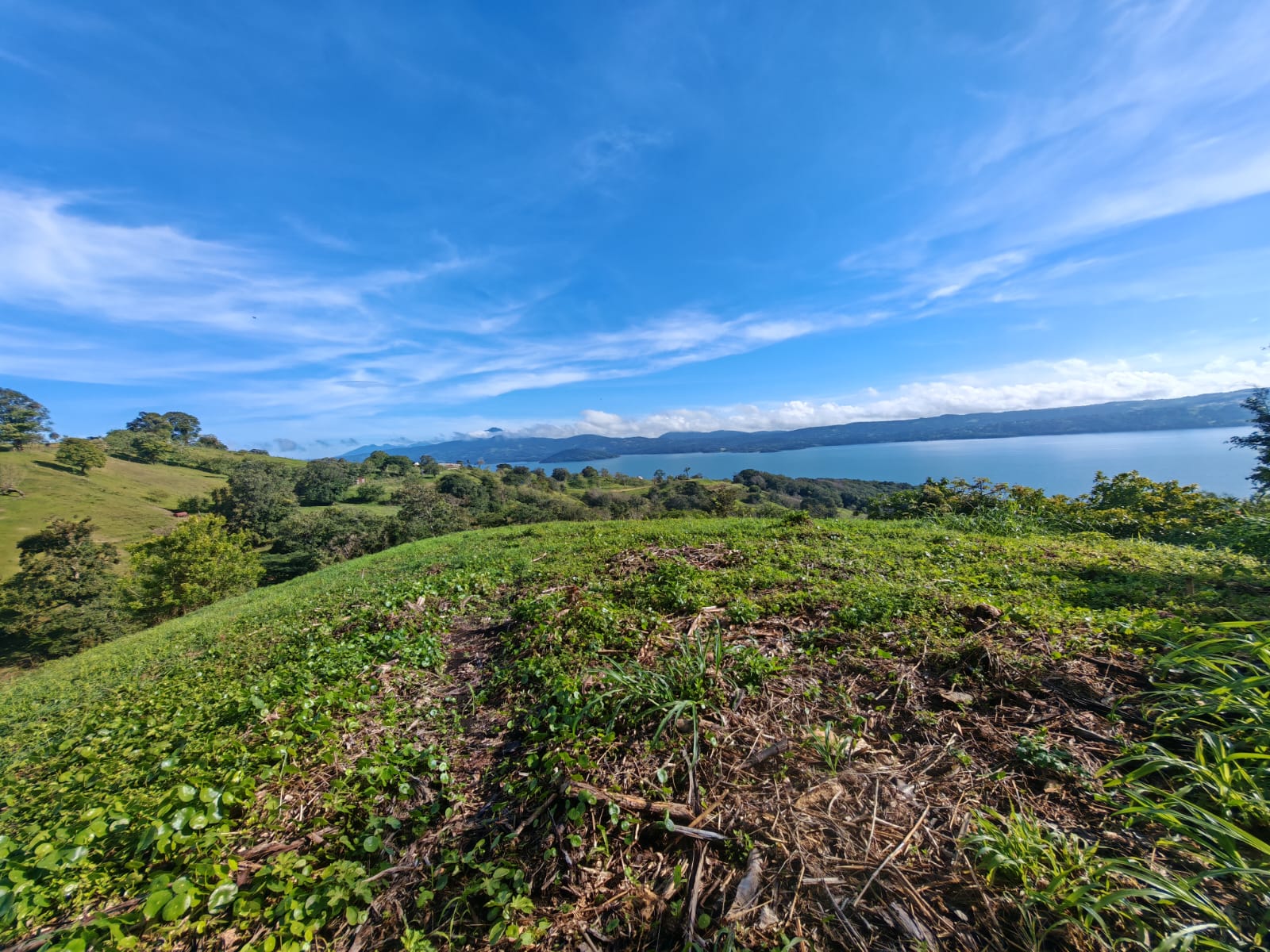 Lake & Volcano View Lot 5505 M2 (1.36 Acre) In Vistas del Lago photo 8