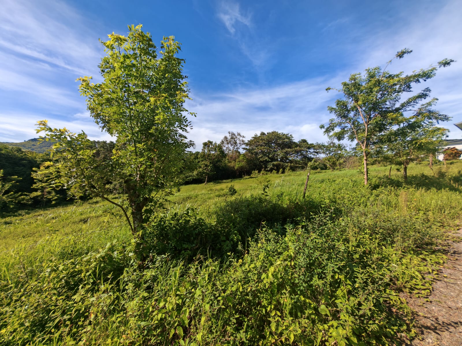 Beautiful 5,058 m² (1.25-Acre) Lot w/ Lake & Volcano View In Tronadora photo 9