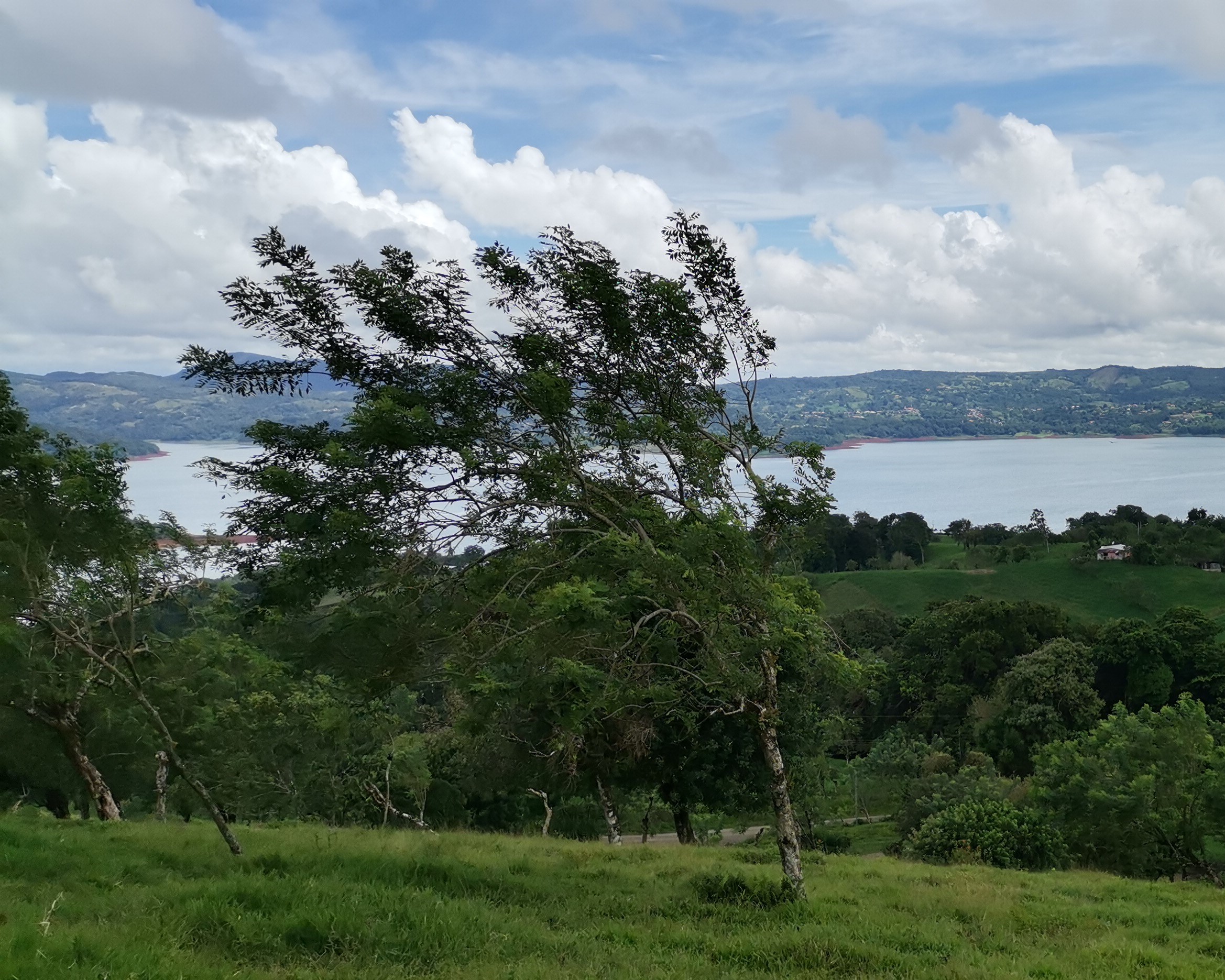 Magnificent 24,811m2 Lake and Volcano View Parcel with Huge Views in Tronadora photo 20