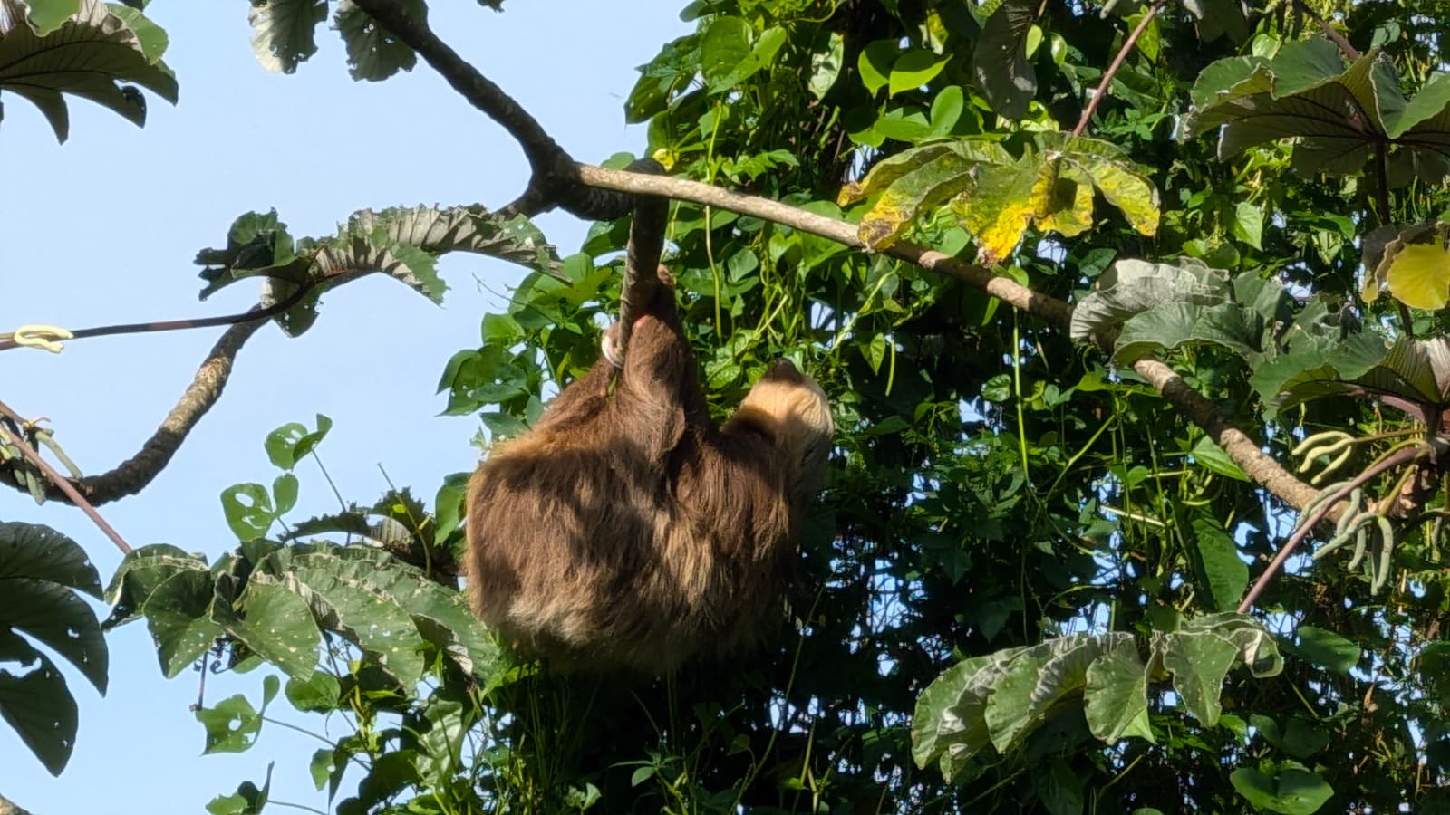 Beautiful Lake & Volcano View Home in Gated Community – Fully Furnished  photo 31