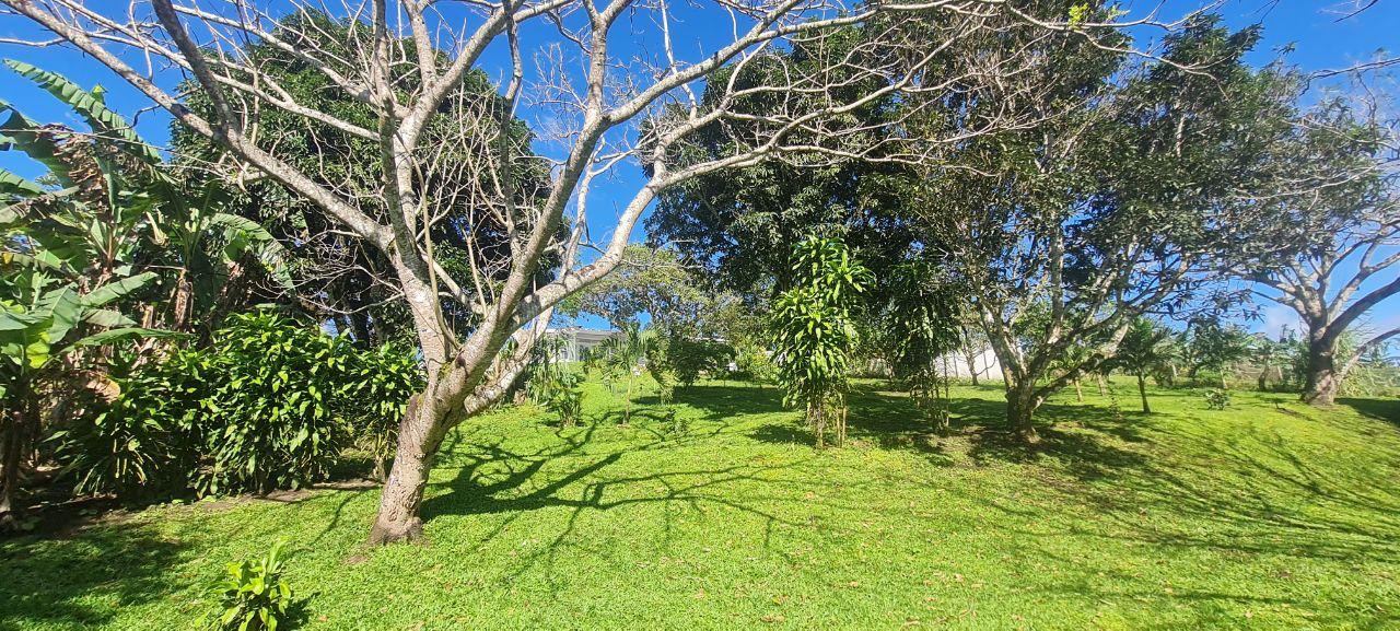 Lakeview Home 4BD 2BAw/ Lake Access, Development Potential & BMW  photo 21