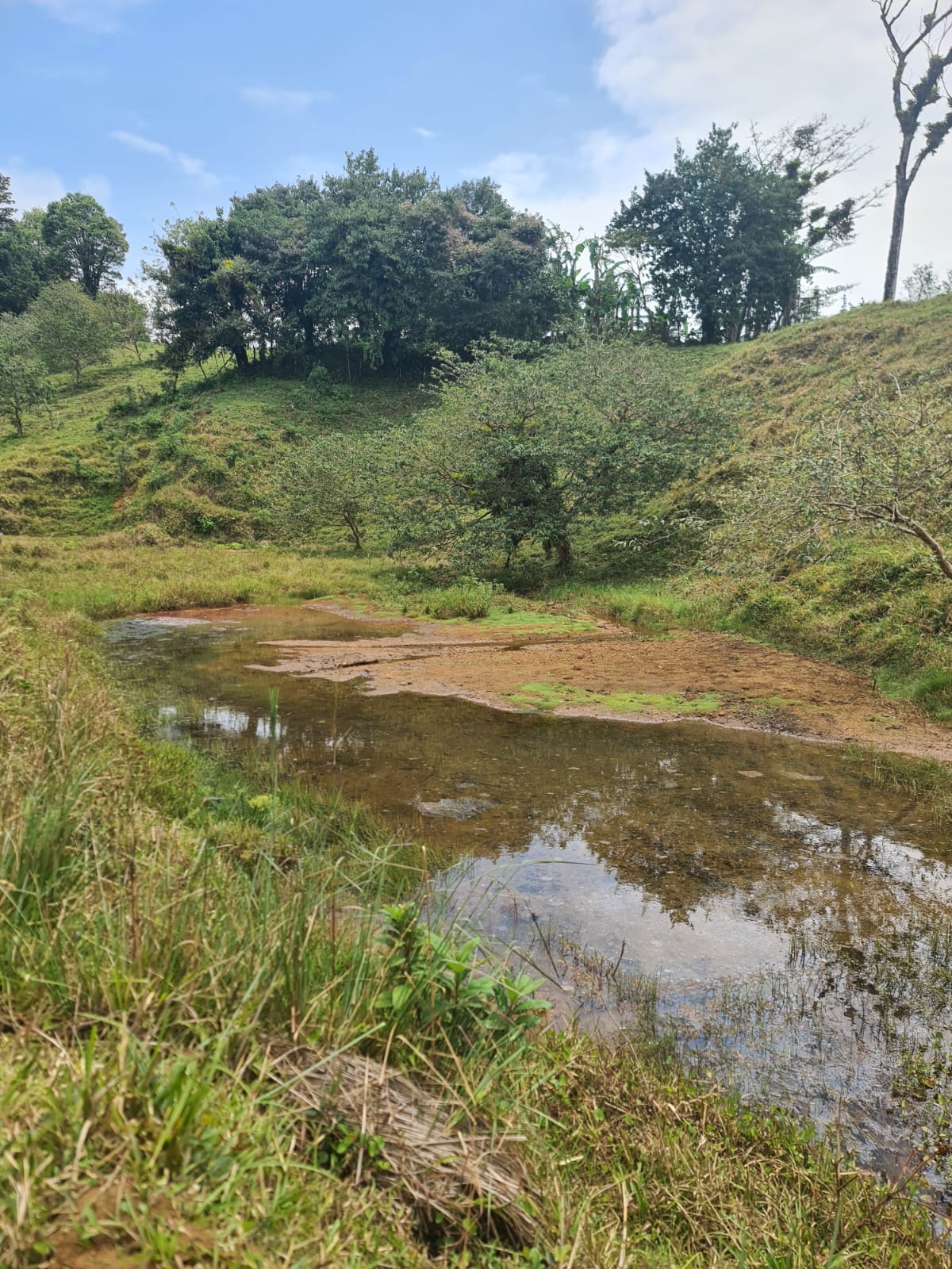 46,600 m2 (11,5 acres) Lot with Amazing Lake View in Nuevo Arenal photo 11