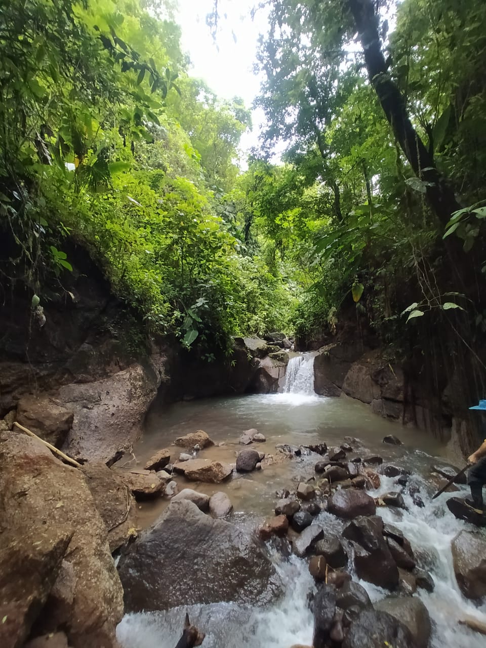 33,691 m² property with Amazing Views and Private Waterfall in La Union  photo 17
