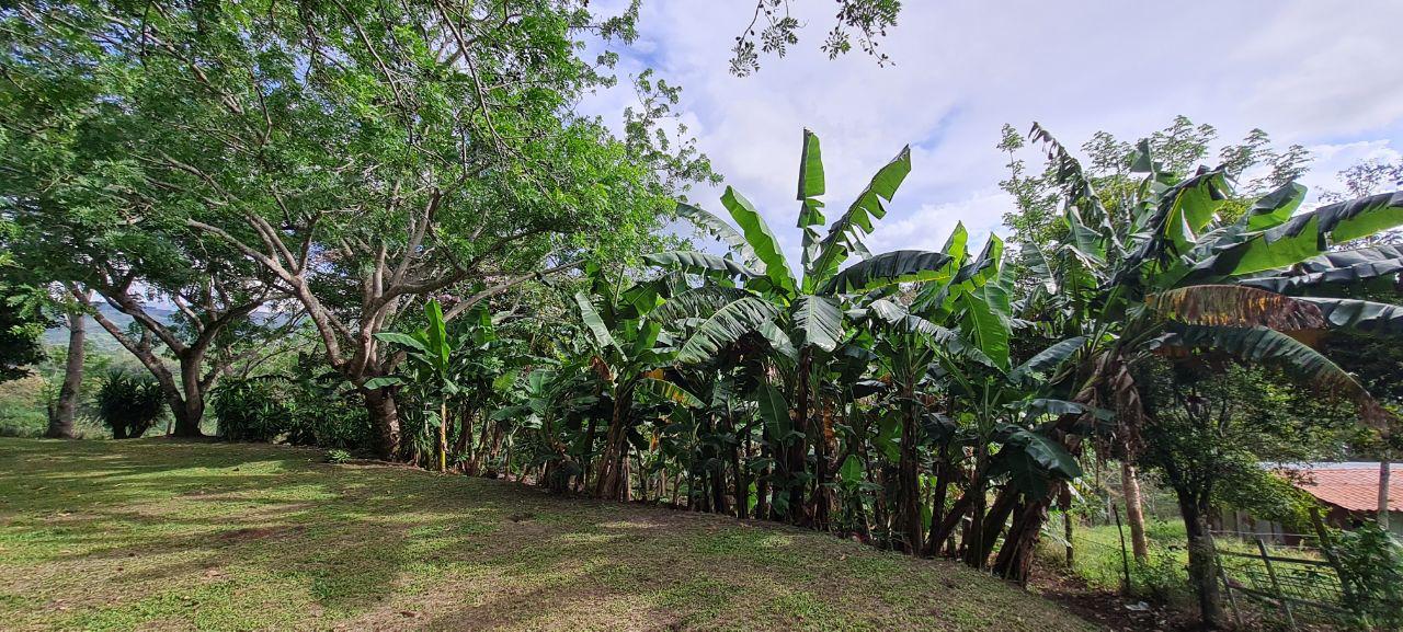 Lakeview Home 4BD 2BAw/ Lake Access, Development Potential & BMW  photo 10