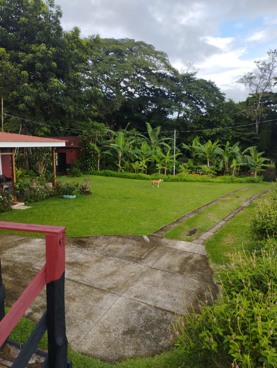 Expansive 30,229 m² (7.46 Acre) Lot w/ House & Scenic Views in Tierras Morenas photo 23
