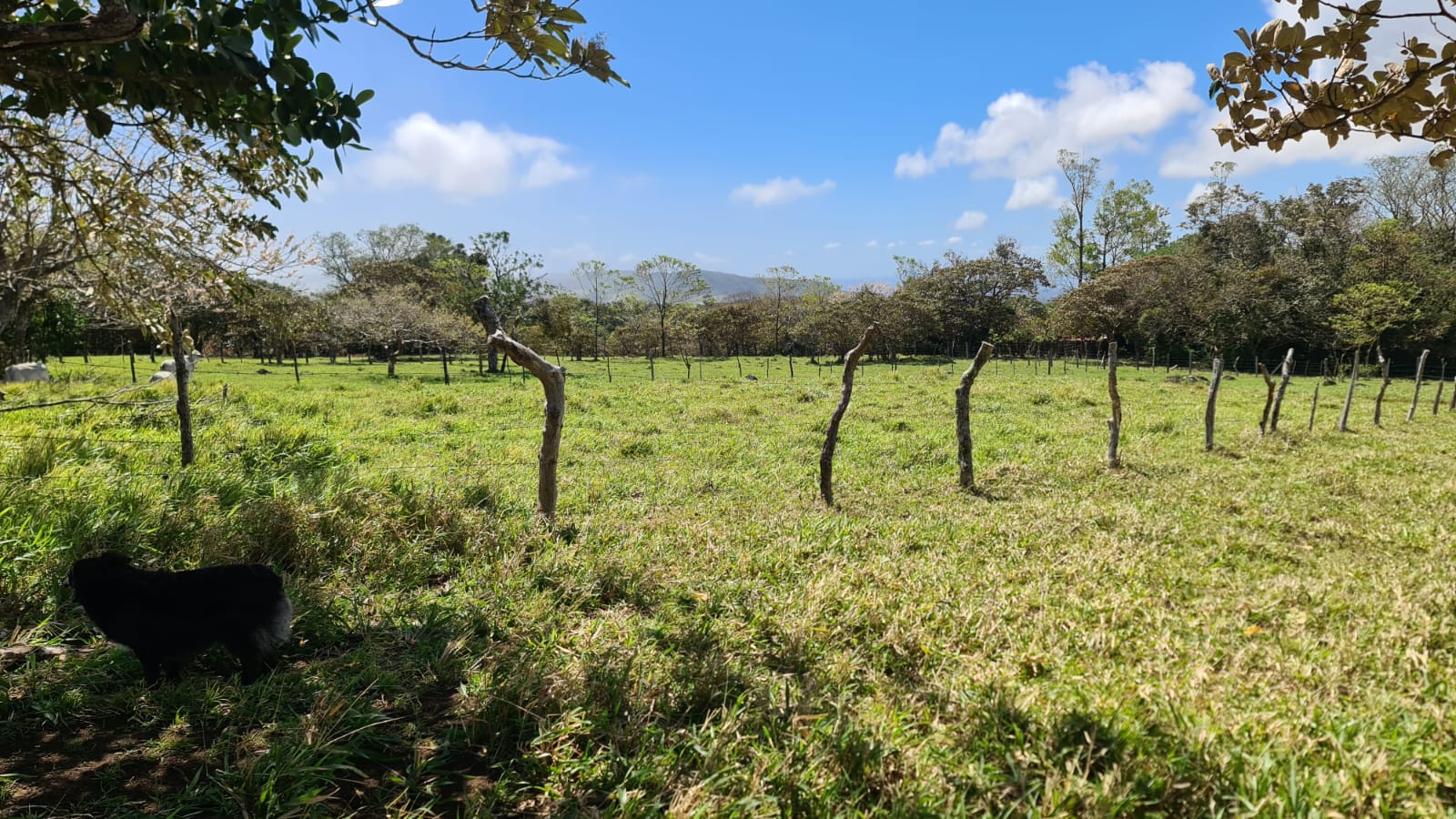 10,000 M2 (2.47 Acre) Lot with Volcano View in Nueva Guatemala photo 9