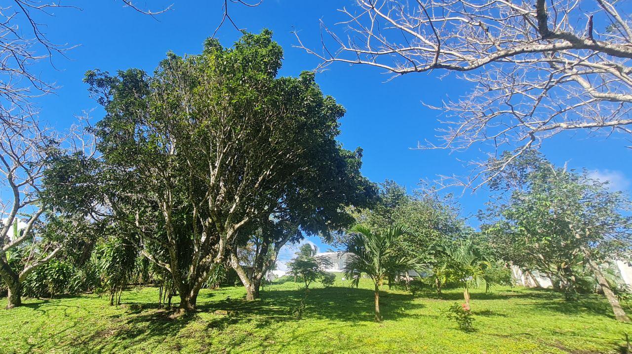 Lakeview Home 4BD 2BAw/ Lake Access, Development Potential & BMW  photo 13