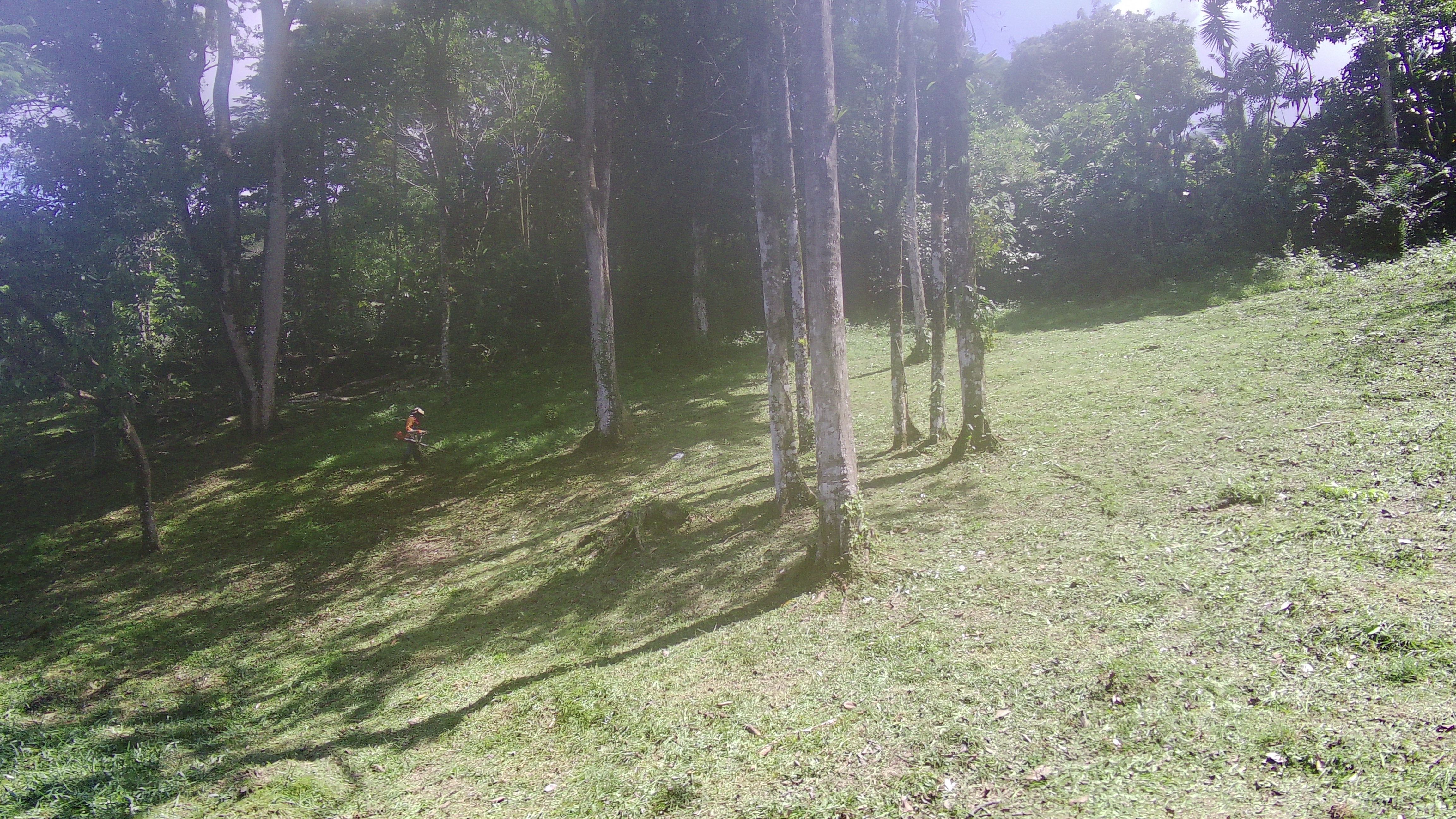 Beautiful Home 2BD 1BA in a 19424.9 m2 (4.8 Acre) Lot w/ Private Spring  photo 28