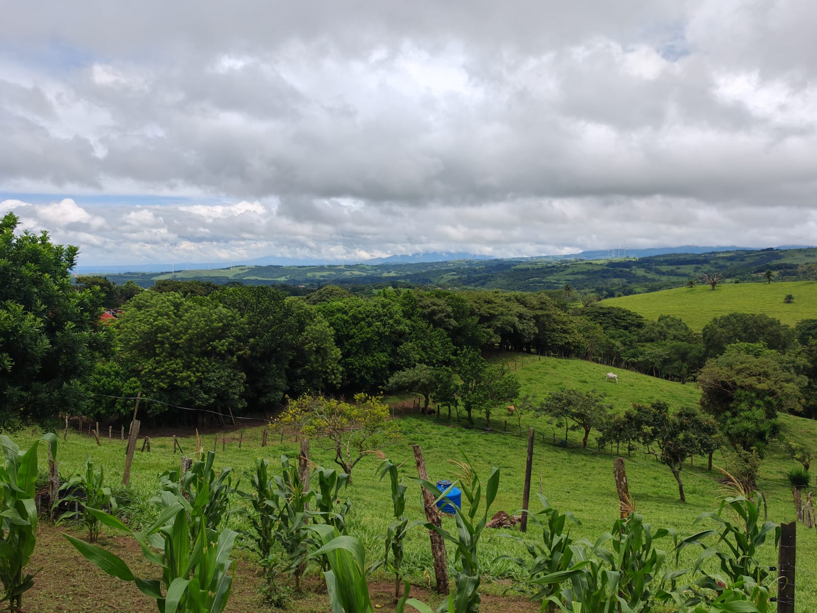 Beautiful 3-bedroom, 2-bathroom Home on a Sprawling 26,313 m² (6.5 Acres) lot  photo 23