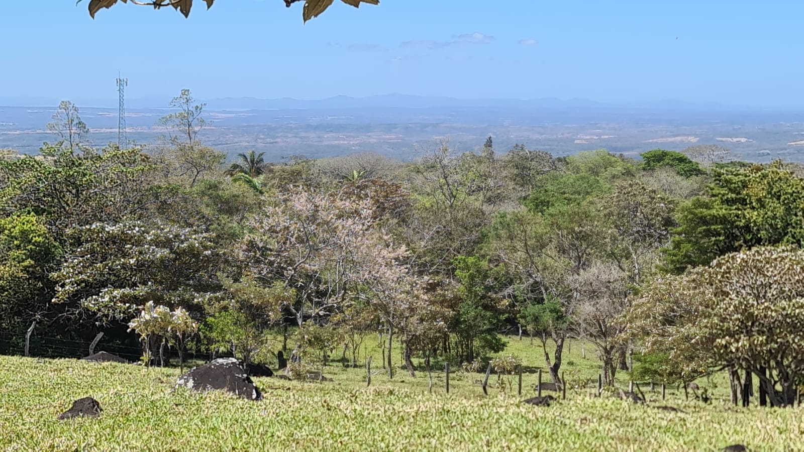 10,000 M2 (2.47 Acre) Lot with Volcano View in Nueva Guatemala photo 7