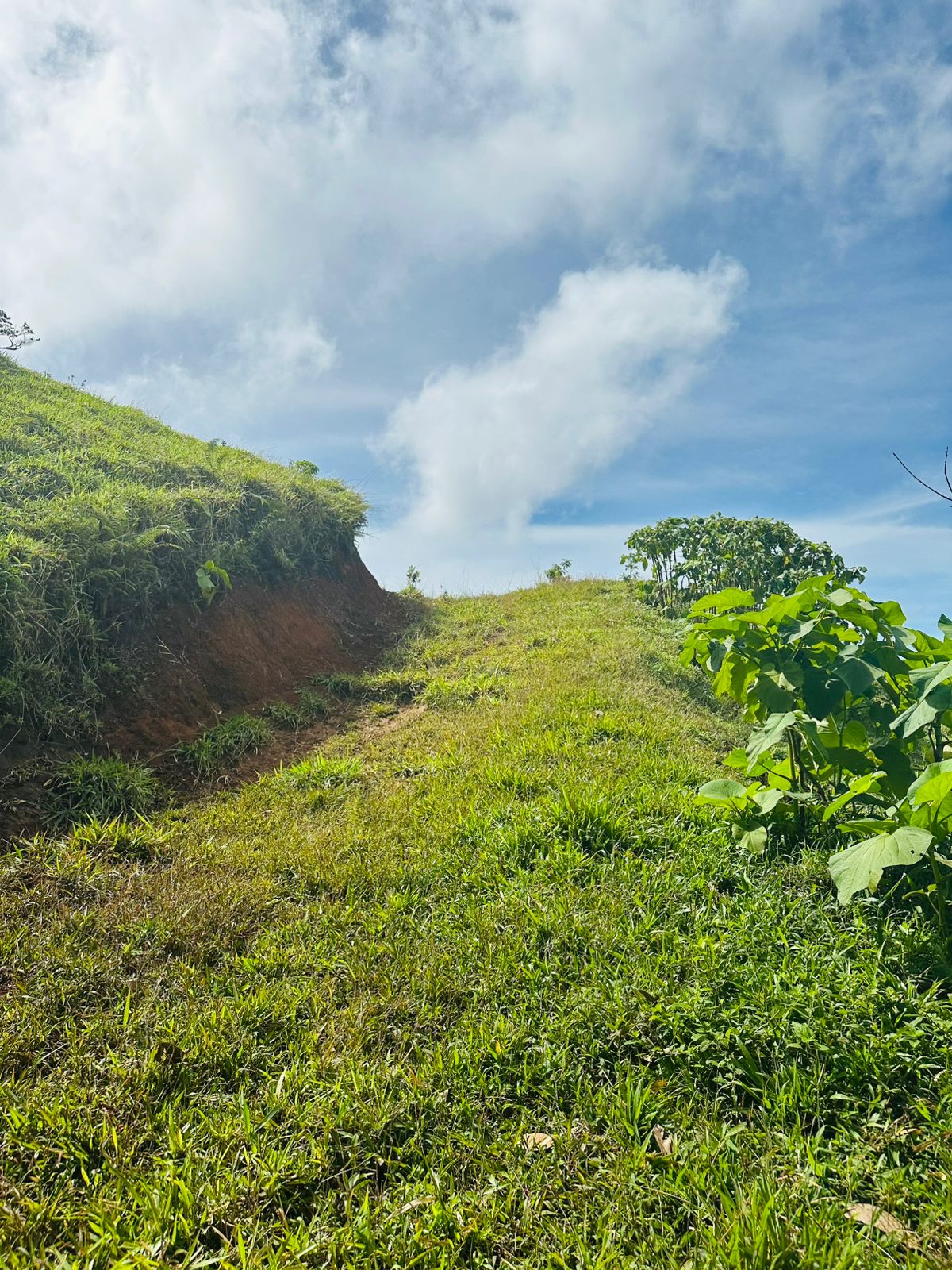 Prime 6,000 m² (1.48 Acre) Lot with Stunning Views of Lake Arenal & Mountains  photo 9