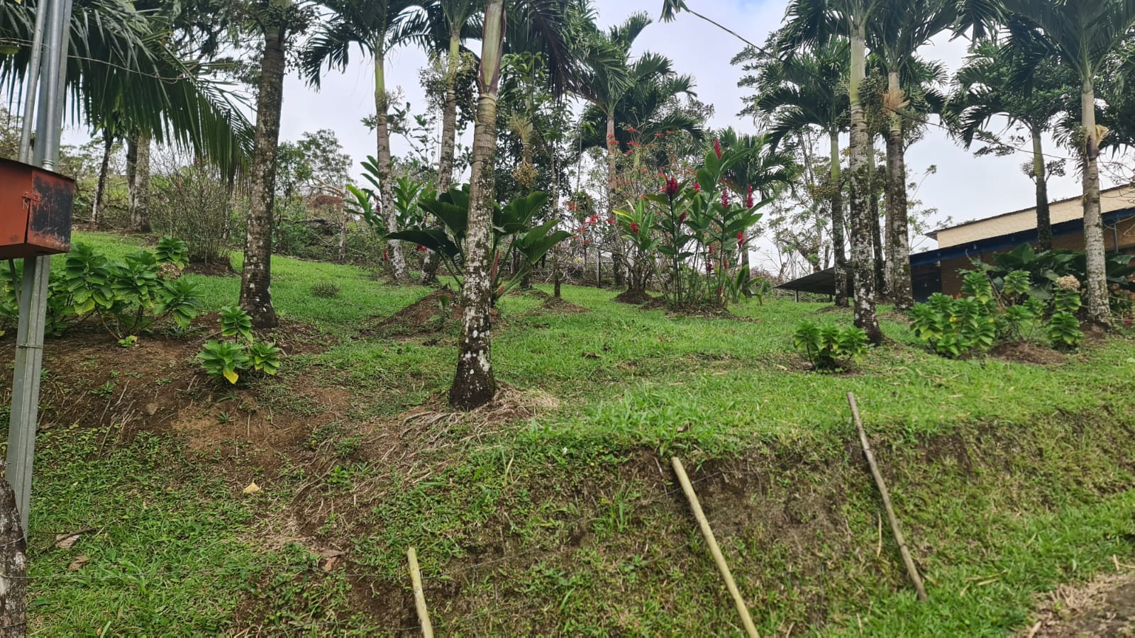 Cozy 1 Bedroom, 1 Bathroom house on a 1,110 m2 lot in Nuevo Arenal photo 14