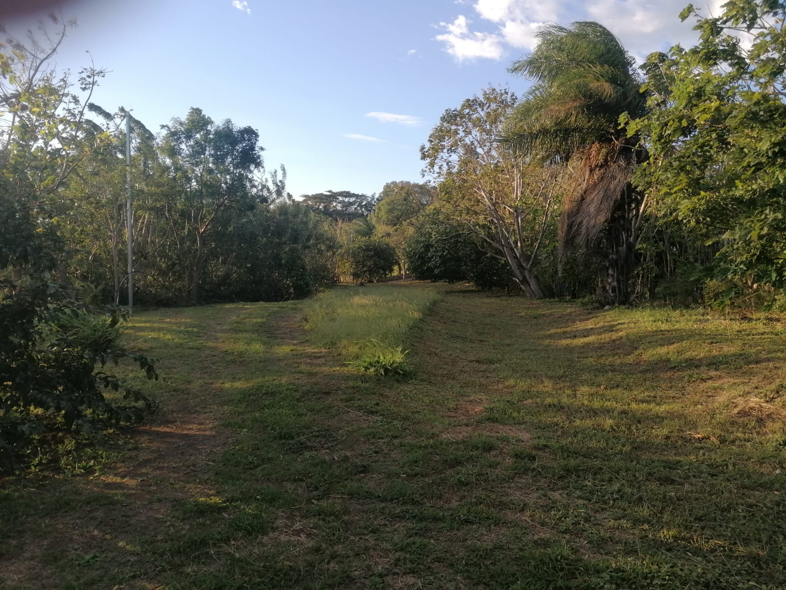 Nature Lover: 5,121 m2 Lot with Mountain Views and Lush Fruit Orchard photo 7