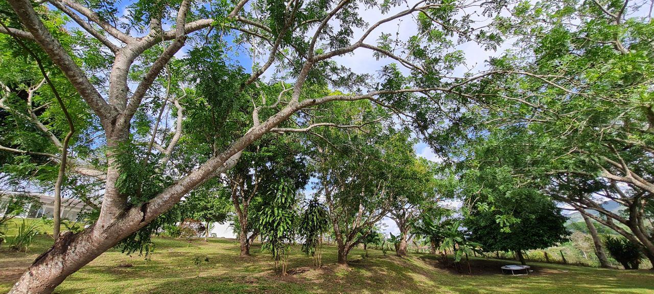 Lakeview Home 4BD 2BAw/ Lake Access, Development Potential & BMW  photo 23