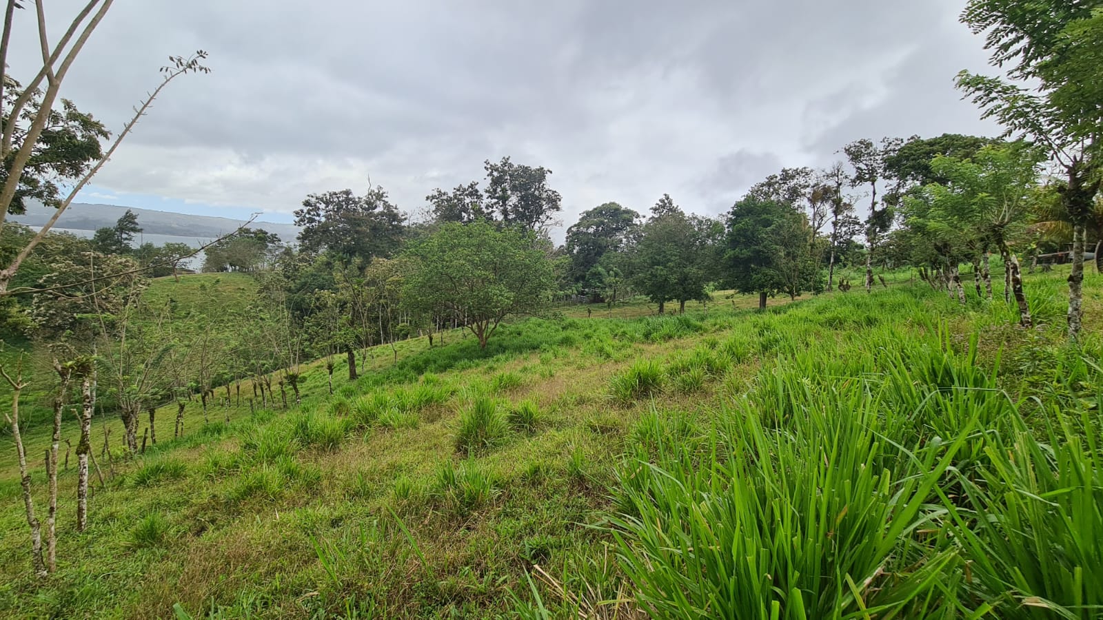 Beautiful, LAKE ACCESS property in Parcelas Santa Maria, Nuevo Arenal  photo 35