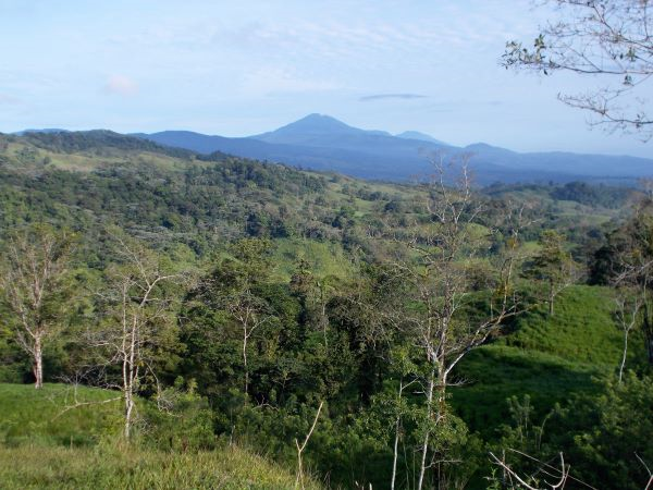 168 acres (68 hectares) of natural peace and tranquility with four cabins photo 18