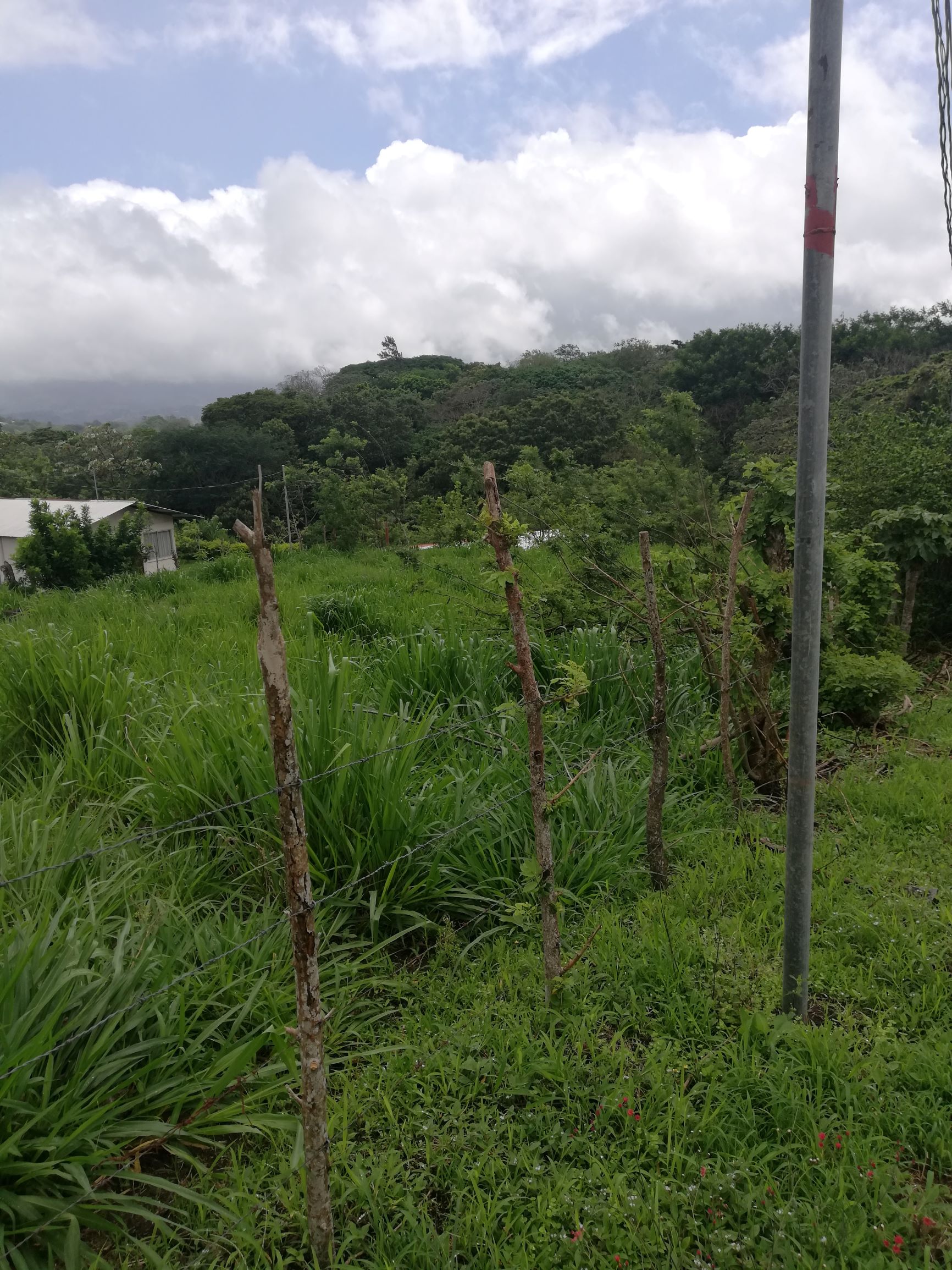 READY TO BUILD! 2,670m2 Parcel near Downtown Tronadora  photo 7