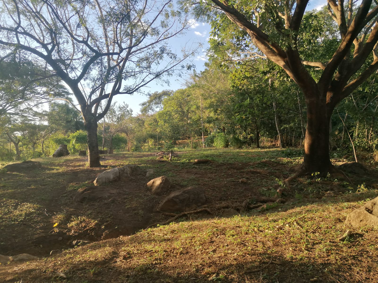 Nature Lover: 5,121 m2 Lot with Mountain Views and Lush Fruit Orchard photo 10