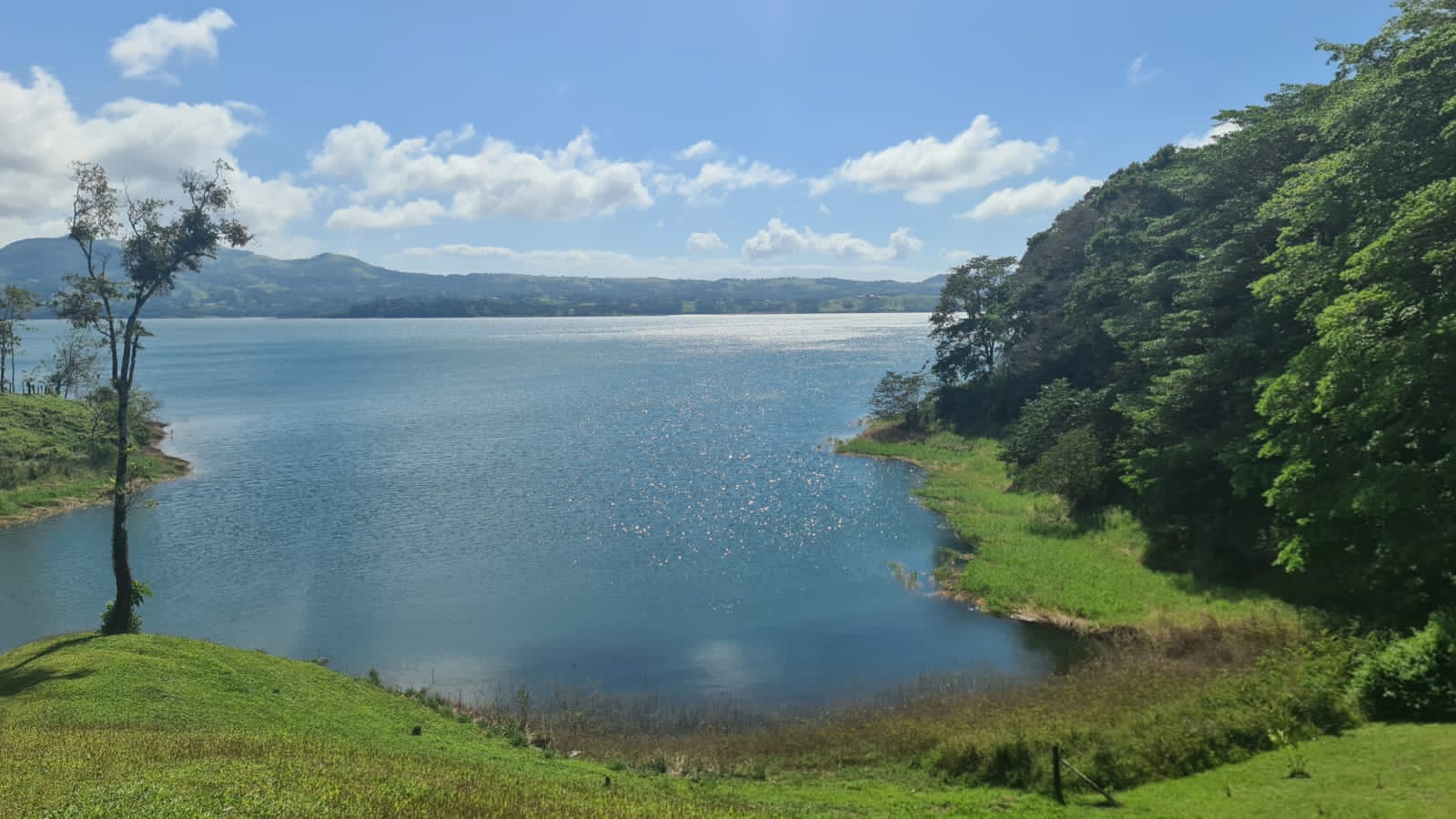 Spectacular Studio Apt + 2500 m2 Lot+ Lake Access Property in Nuevo Arenal photo 20
