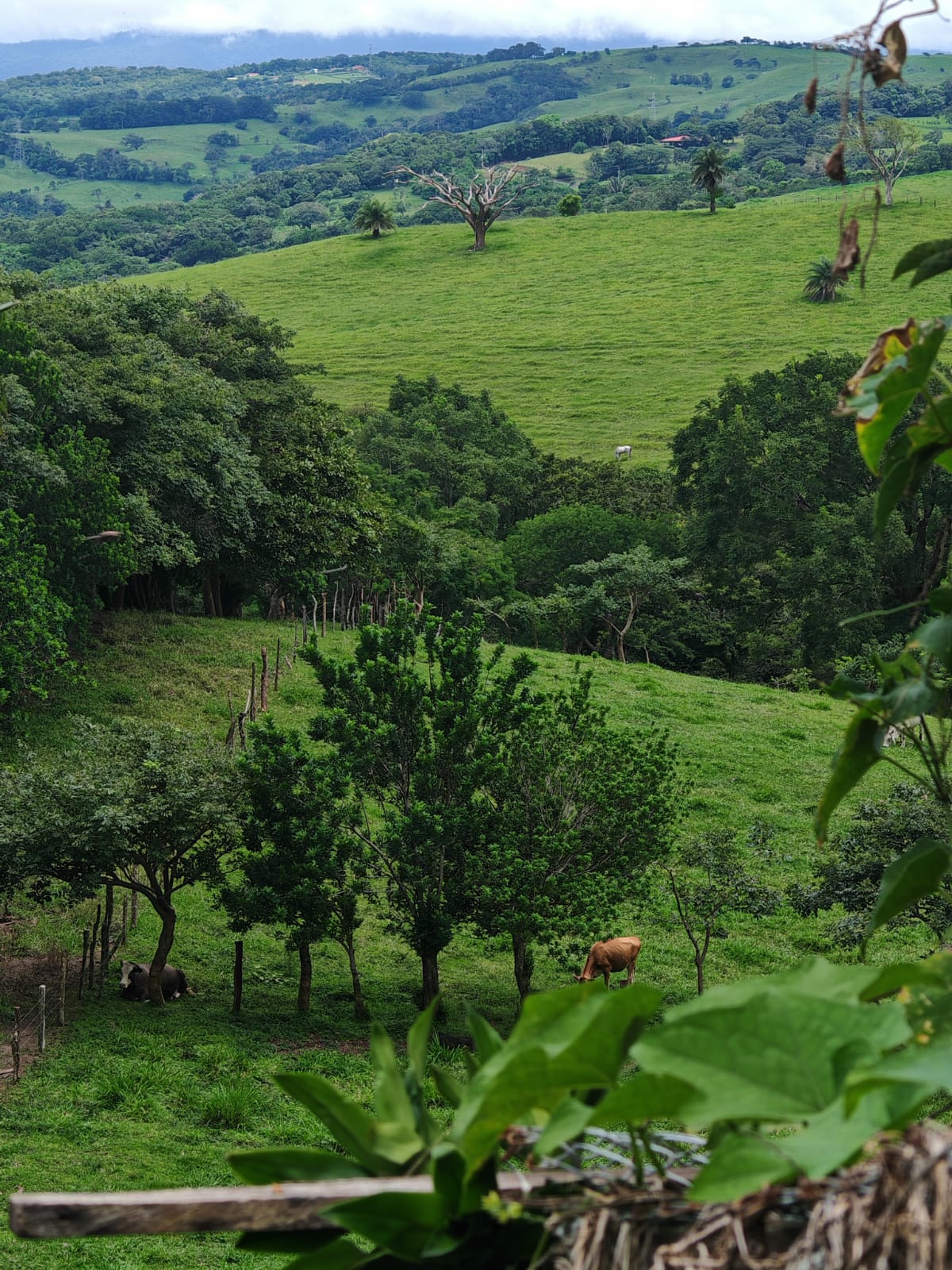 Beautiful 3-bedroom, 2-bathroom Home on a Sprawling 26,313 m² (6.5 Acres) lot  photo 21