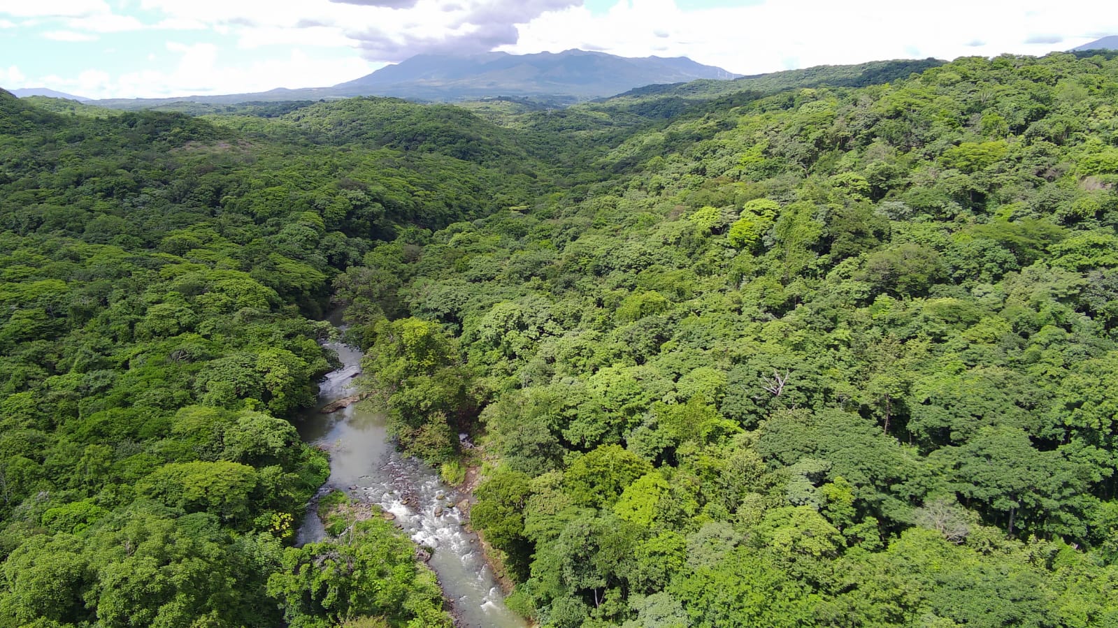 450-Hectare Estate w/ Nature Reserve, Three Homes & Rivers in Guanacaste photo 61