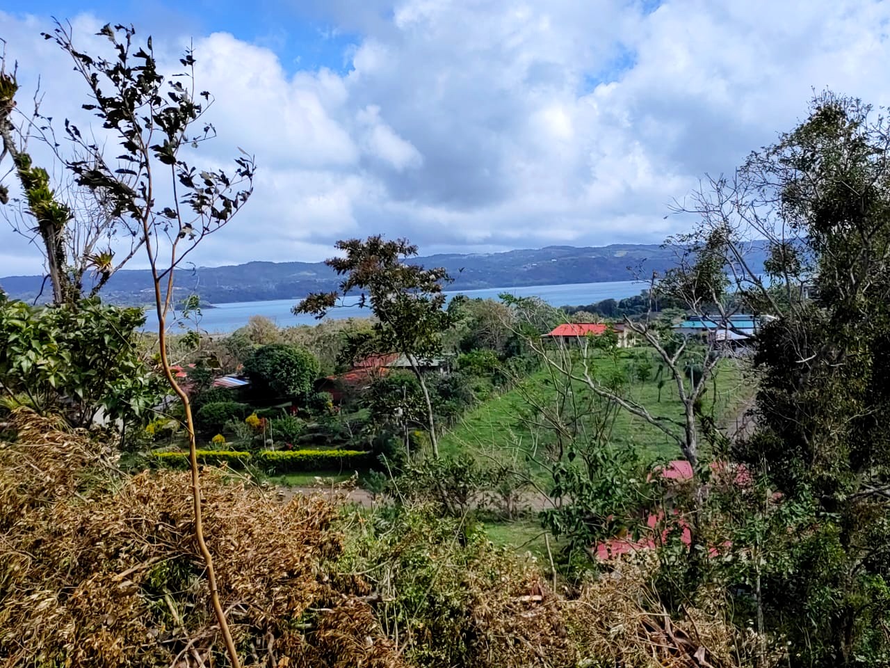 Beautiful 2932 m2 lot with Lake Arenal View in Tronadora  photo 8