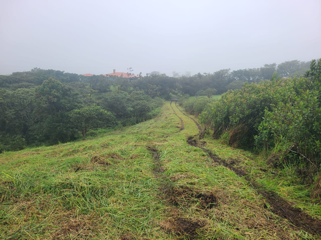 Stunning 12.59-Acre Lot with Volcano Views in Nuevo Arenal  photo 11