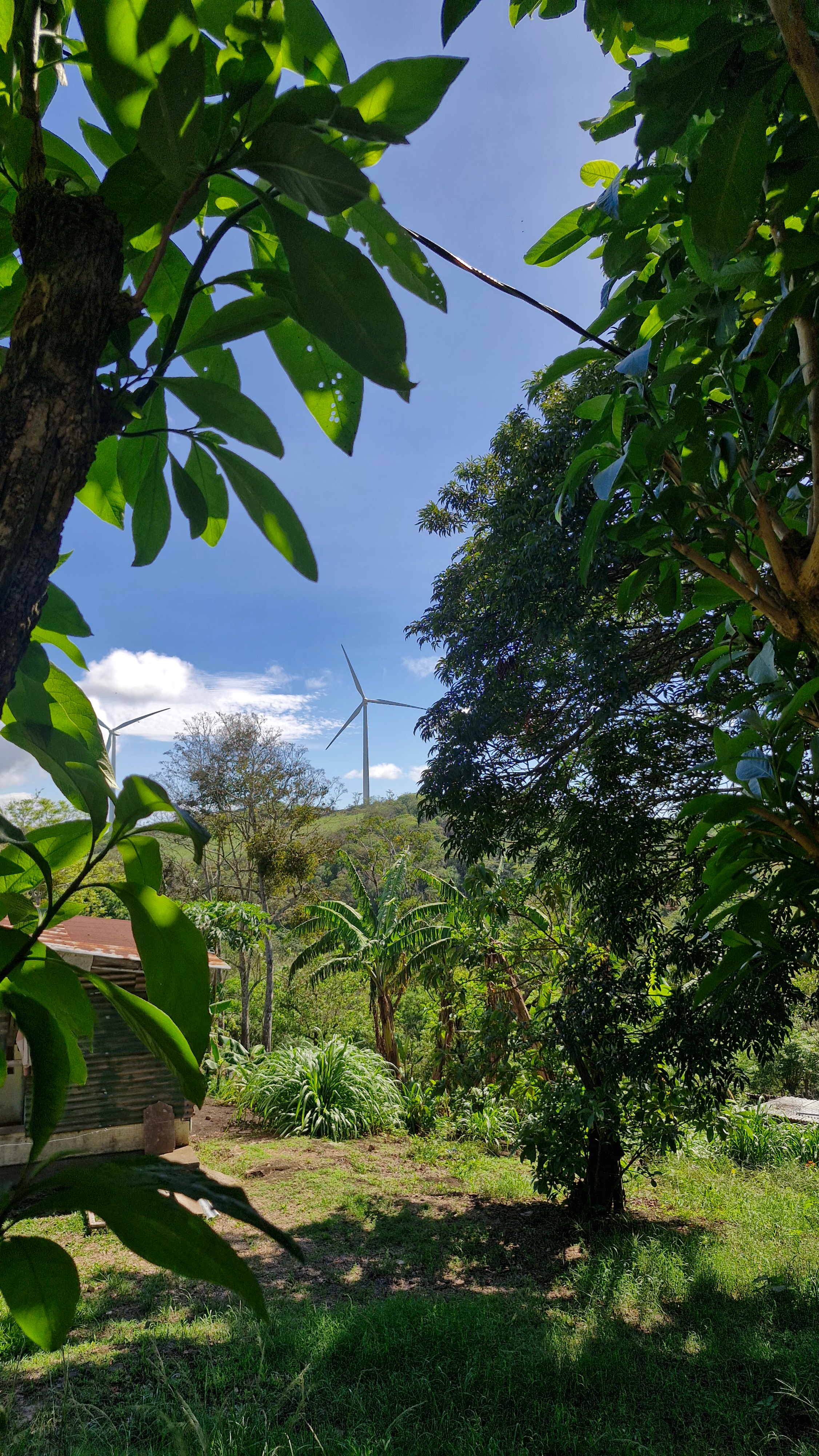 Lovely Home 4BD/2BA With Wind farms views in Parcelas de Quebrada Azul  photo 27
