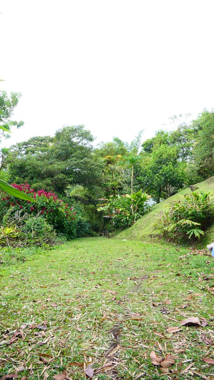 A very unique 1 Bedroom/1 Bathroom Boat House with lake access photo 19