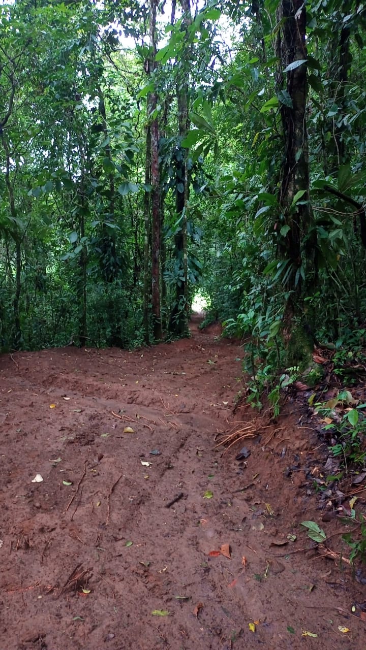 Gorgeous 50,372 m2 (12,4 acre) Farm In Cabanga, Guatuso photo 20