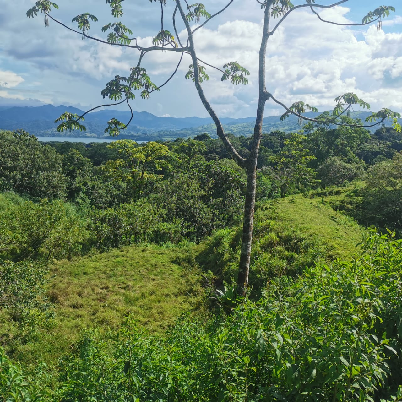 Exceptional 14,445 m² Lot in La Unión, Arenal – Views of Lake Arenal photo 8