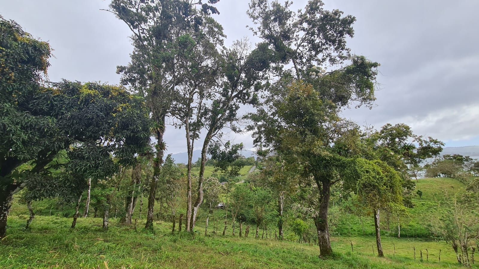 Beautiful, LAKE ACCESS property in Parcelas Santa Maria, Nuevo Arenal  photo 36