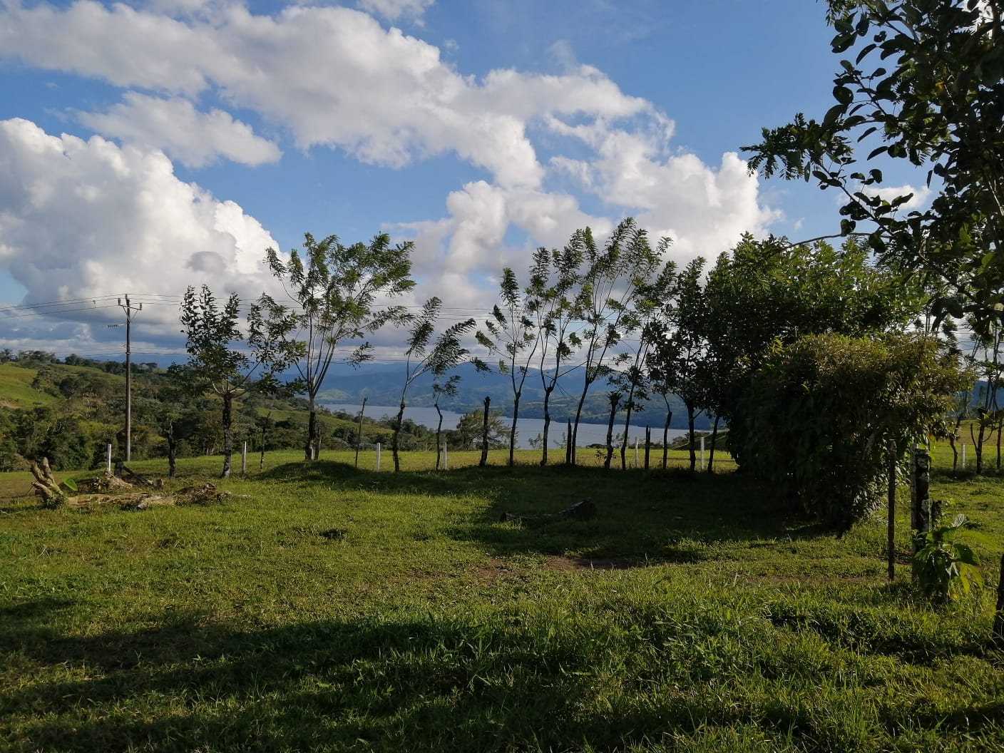 16-Hectare Farm with a Private Well and Views of Lake Arenal in Nuevo Arenal photo 46